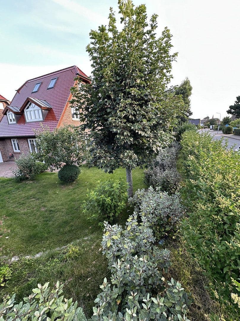Predaj domu 121 m², pozemok 356 m², Sylt, Šlezvicko-Holštajnsko Predaj domu 121 m², pozemok 356 m², Sylt, Šlezvicko-Holštajnsko
