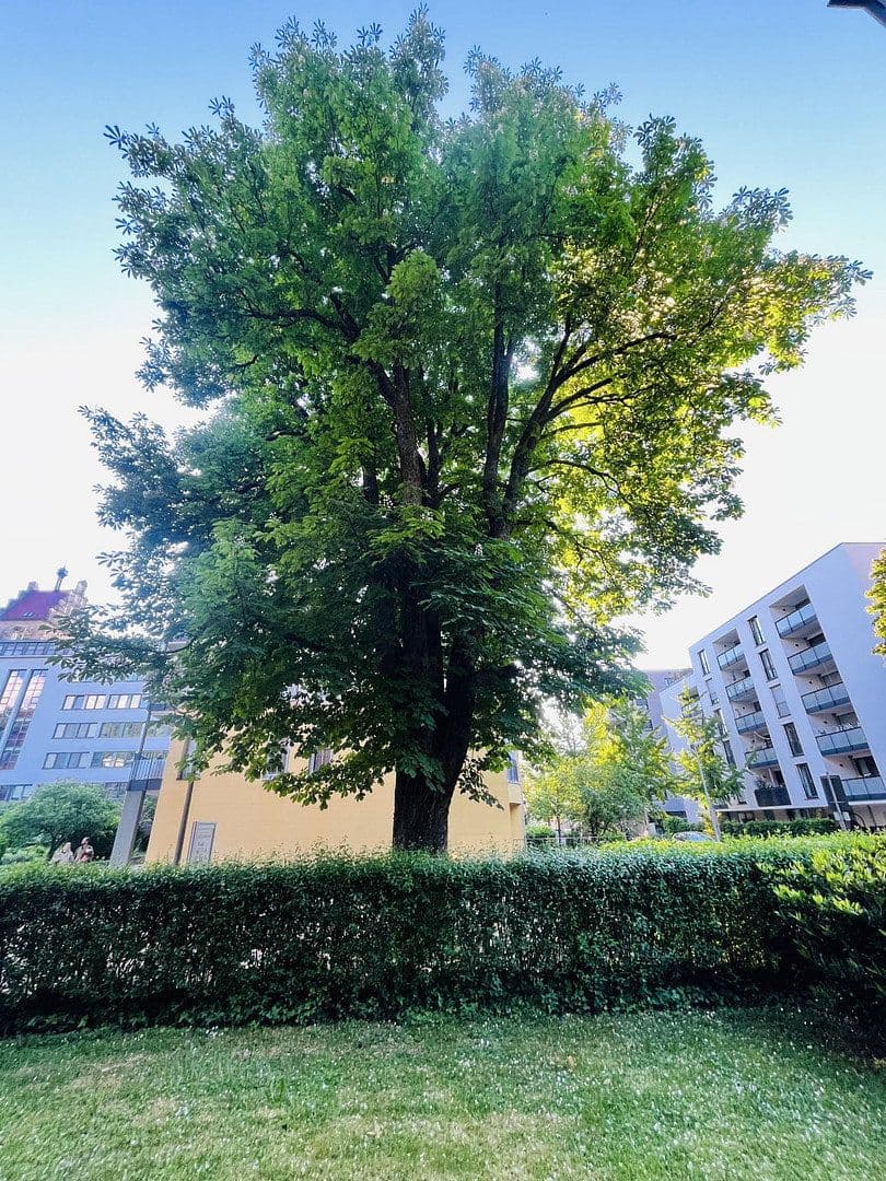 Predaj bytu 2-izbový 64 m², Wölflinstr. 3, Freiburg, Bádensko-Wurttembersko Predaj bytu 2-izbový 64 m², Wölflinstr. 3, Freiburg, Bádensko-Wurttembersko