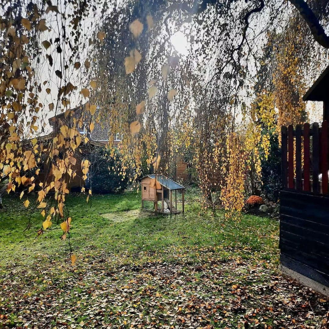 Predaj domu 180 m², pozemok 514 m², Ostpreußenstraße 8, Verden (Aller), Dolné Sasko Predaj domu 180 m², pozemok 514 m², Ostpreußenstraße 8, Verden (Aller), Dolné Sasko