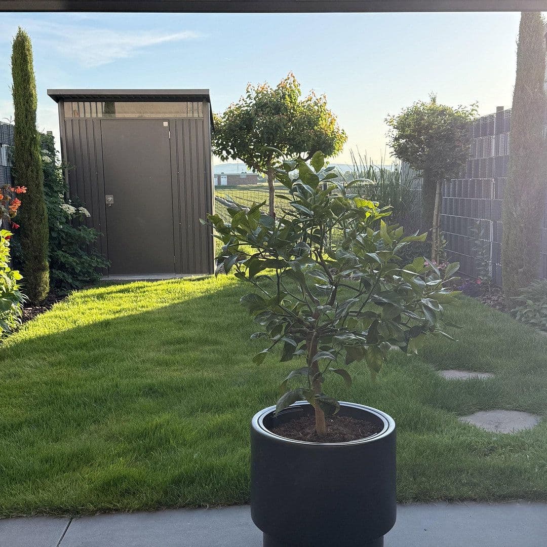 Predaj domu 87 m², pozemok 121 m², Frankenthal, Porýnie-Falcko Predaj domu 87 m², pozemok 121 m², Frankenthal, Porýnie-Falcko