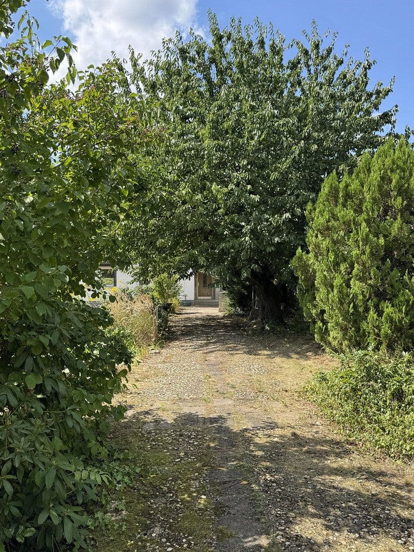 Predaj domu 80 m², pozemok 1.020 m², Leipzig, Sasko Predaj domu 80 m², pozemok 1.020 m², Leipzig, Sasko