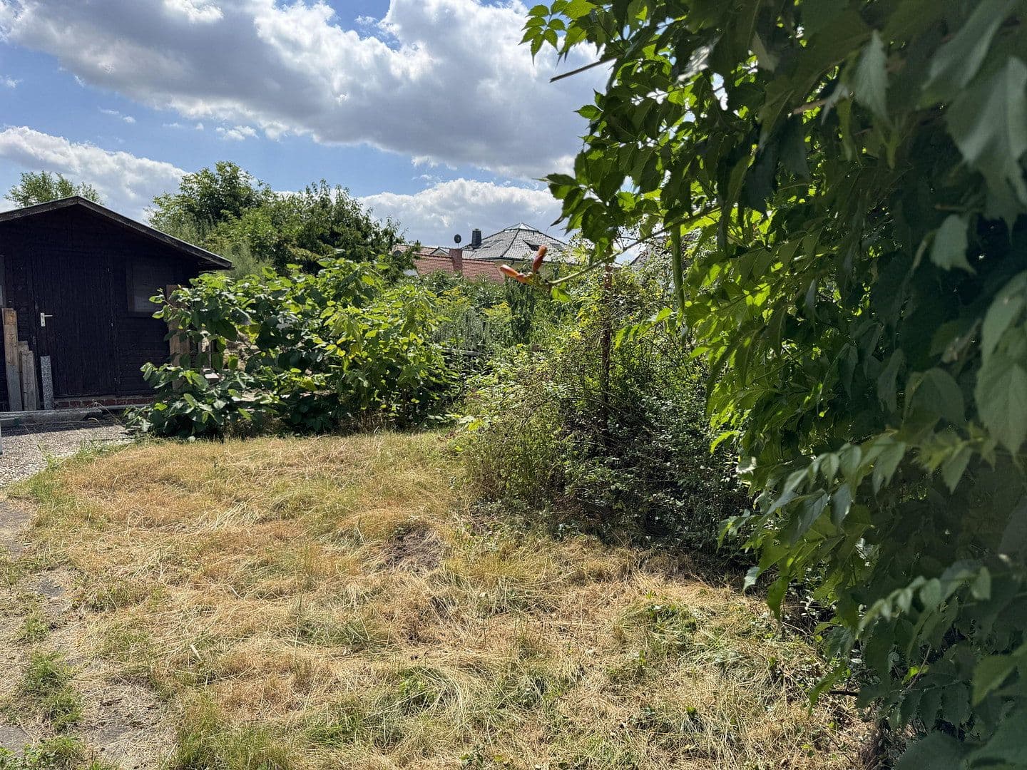 Predaj domu 80 m², pozemok 1.020 m², Leipzig, Sasko Predaj domu 80 m², pozemok 1.020 m², Leipzig, Sasko