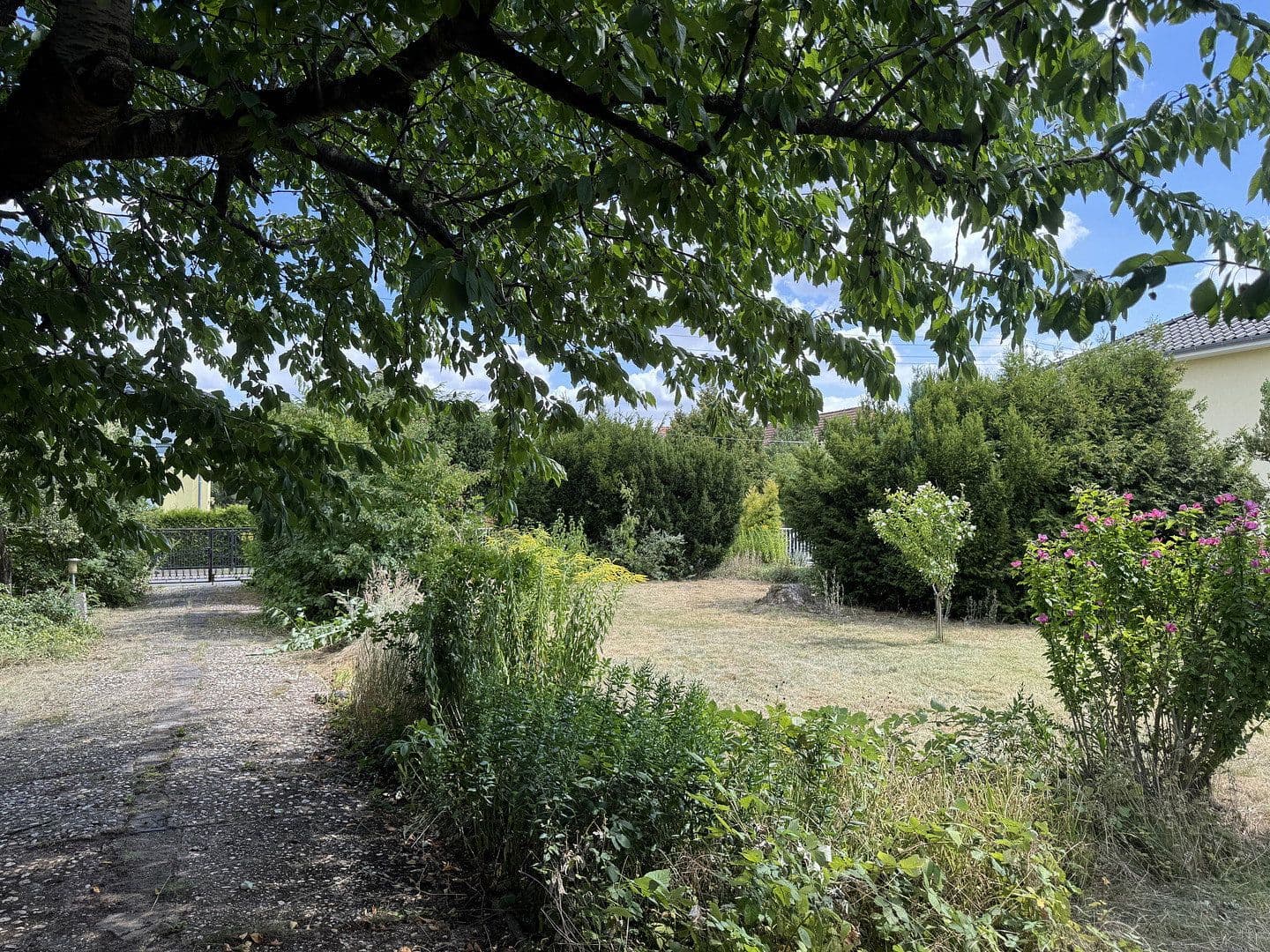 Predaj domu 80 m², pozemok 1.020 m², Leipzig, Sasko Predaj domu 80 m², pozemok 1.020 m², Leipzig, Sasko