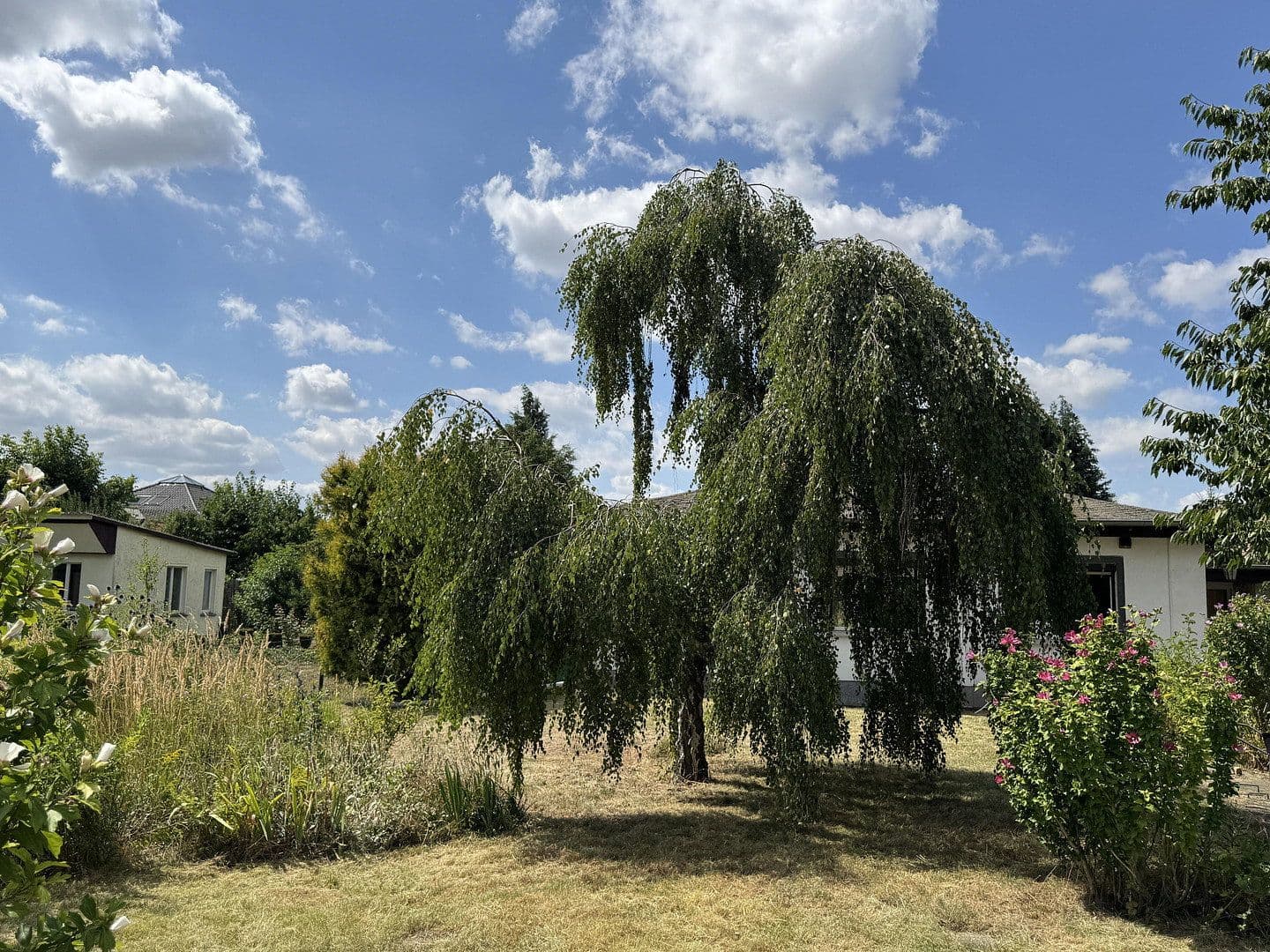 Predaj domu 80 m², pozemok 1.020 m², Leipzig, Sasko Predaj domu 80 m², pozemok 1.020 m², Leipzig, Sasko