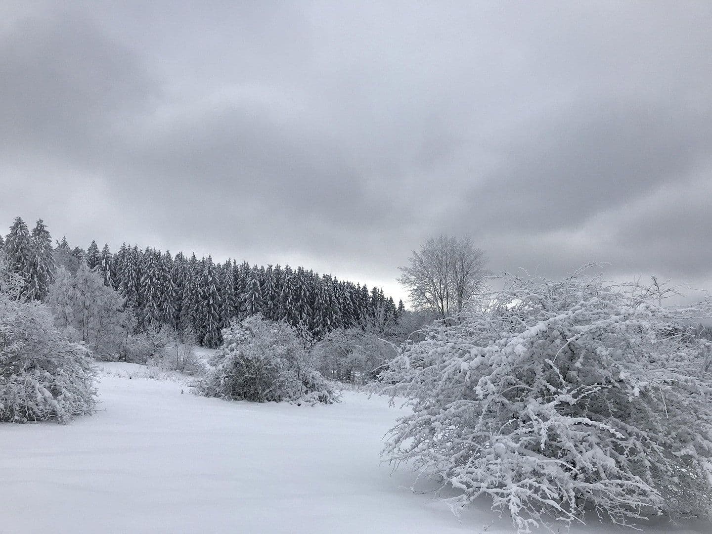 Predaj domu 146 m², pozemok 332 m², Schmitten im Taunus, Hesensko Predaj domu 146 m², pozemok 332 m², Schmitten im Taunus, Hesensko