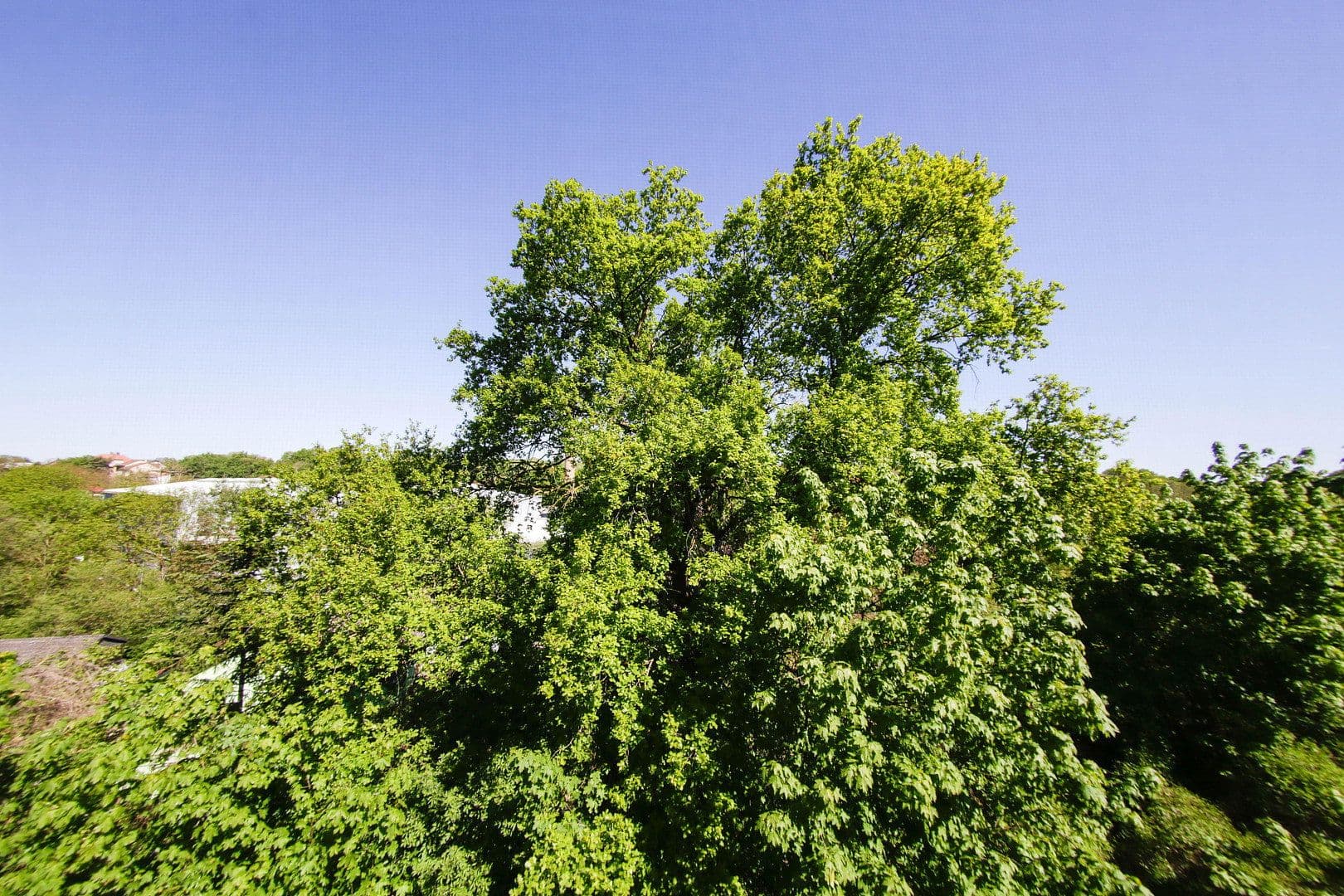 Predaj bytu 4-izbový 94 m², Wendelsheim, Porýnie-Falcko Predaj bytu 4-izbový 94 m², Wendelsheim, Porýnie-Falcko