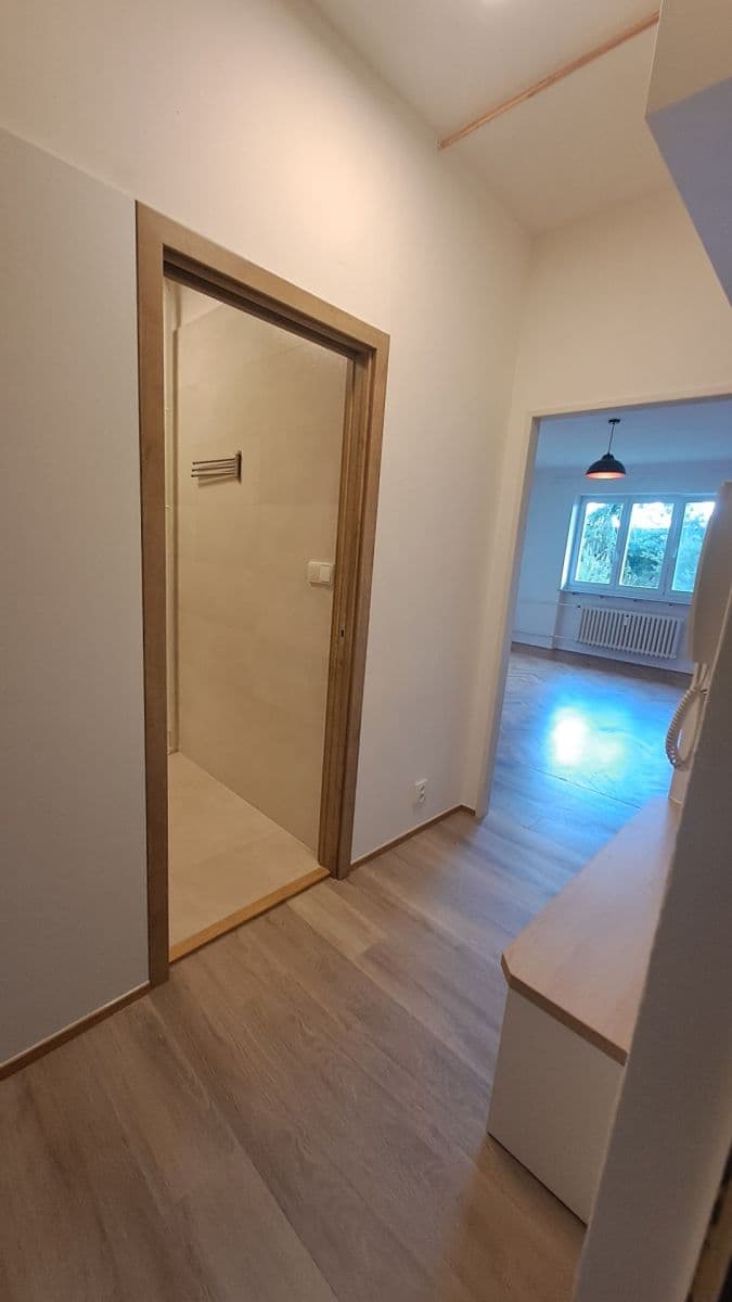 Prenájom bytu 1-izbový 32 m², Bohuslava Martinů, Brno, Jihomoravský kraj Prenájom bytu 1-izbový 32 m², Bohuslava Martinů, Brno, Jihomoravský kraj
