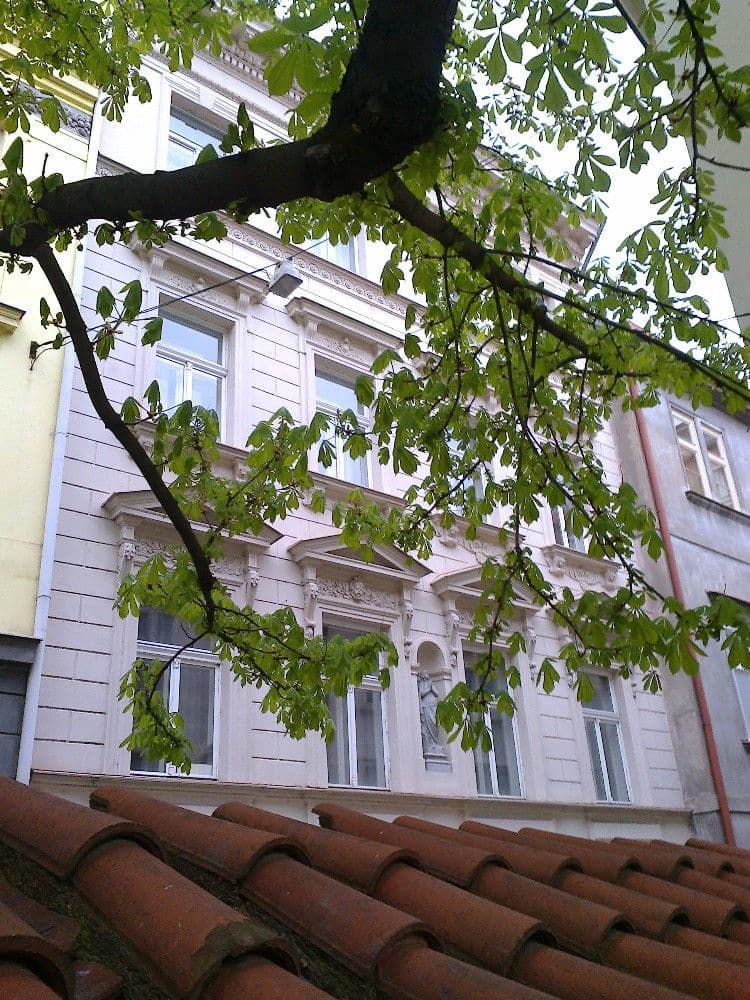 Prenájom bytu 1-izbový 45 m², Opatovická, Praha, Praha Prenájom bytu 1-izbový 45 m², Opatovická, Praha, Praha