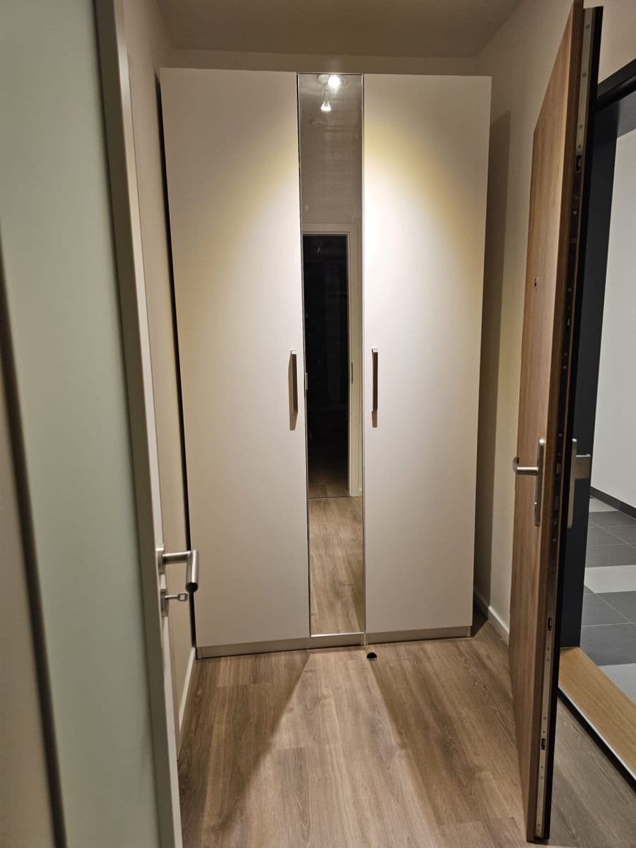 Prenájom bytu 1-izbový 32 m², Divíškové, Praha, Praha Prenájom bytu 1-izbový 32 m², Divíškové, Praha, Praha