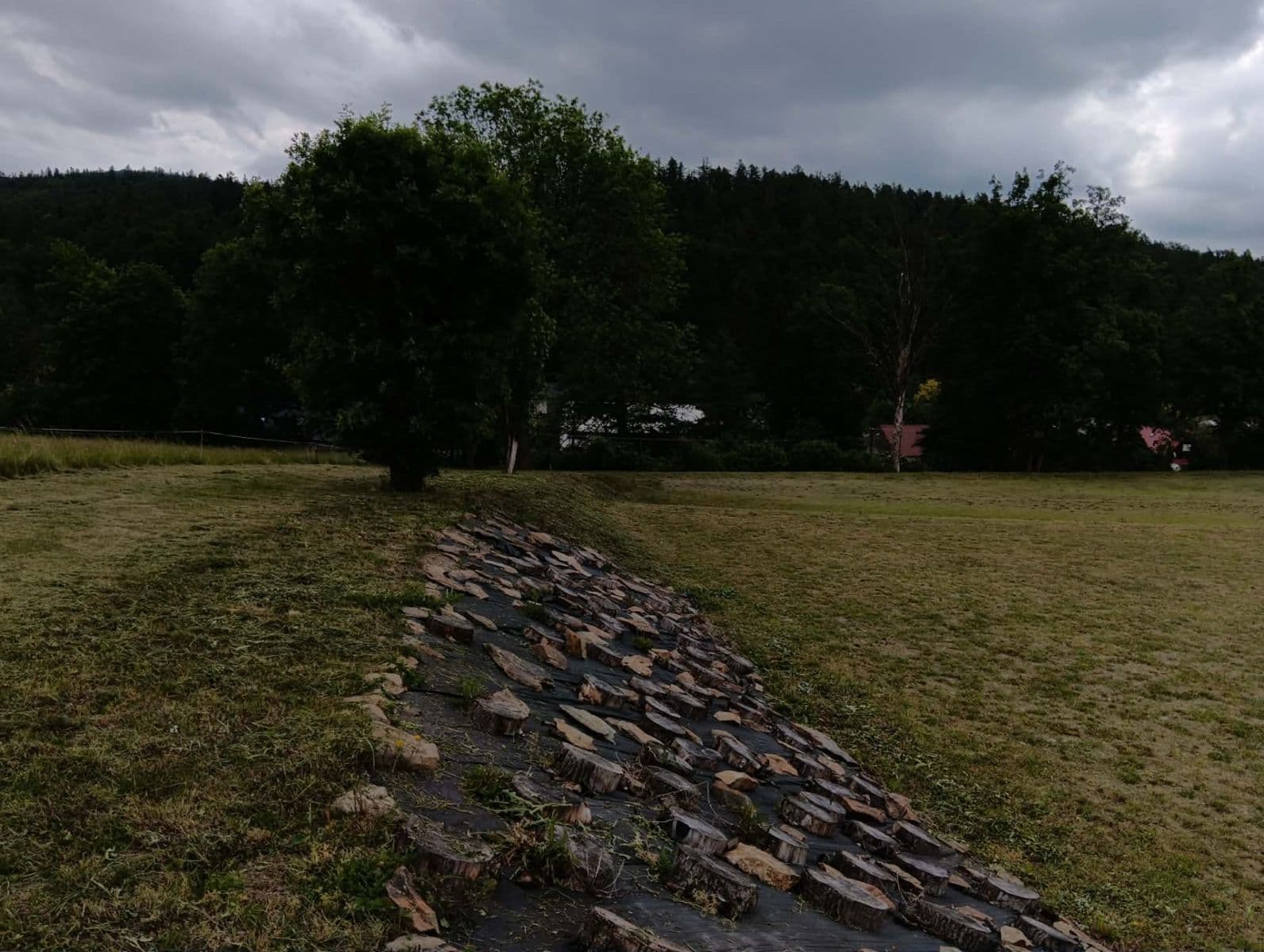 Predaj pozemku 7.284 m², Brantice, Moravskoslezský kraj Predaj pozemku 7.284 m², Brantice, Moravskoslezský kraj