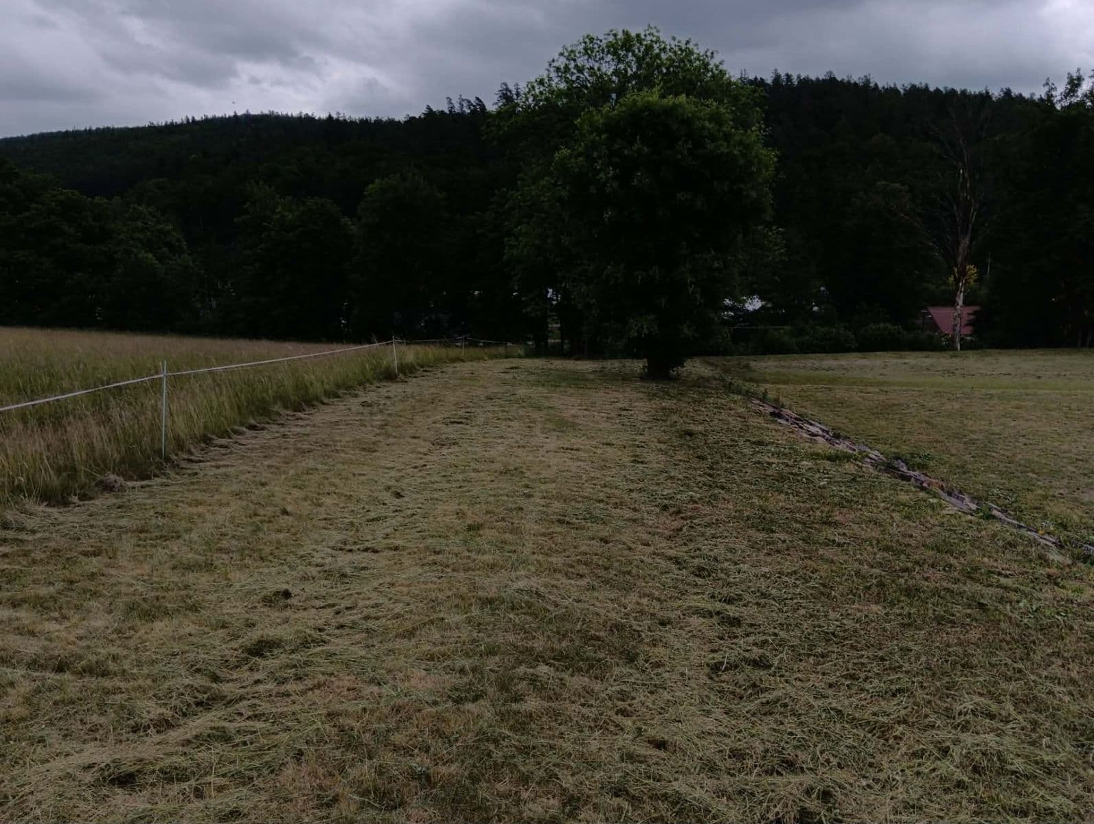 Predaj pozemku 7.284 m², Brantice, Moravskoslezský kraj Predaj pozemku 7.284 m², Brantice, Moravskoslezský kraj