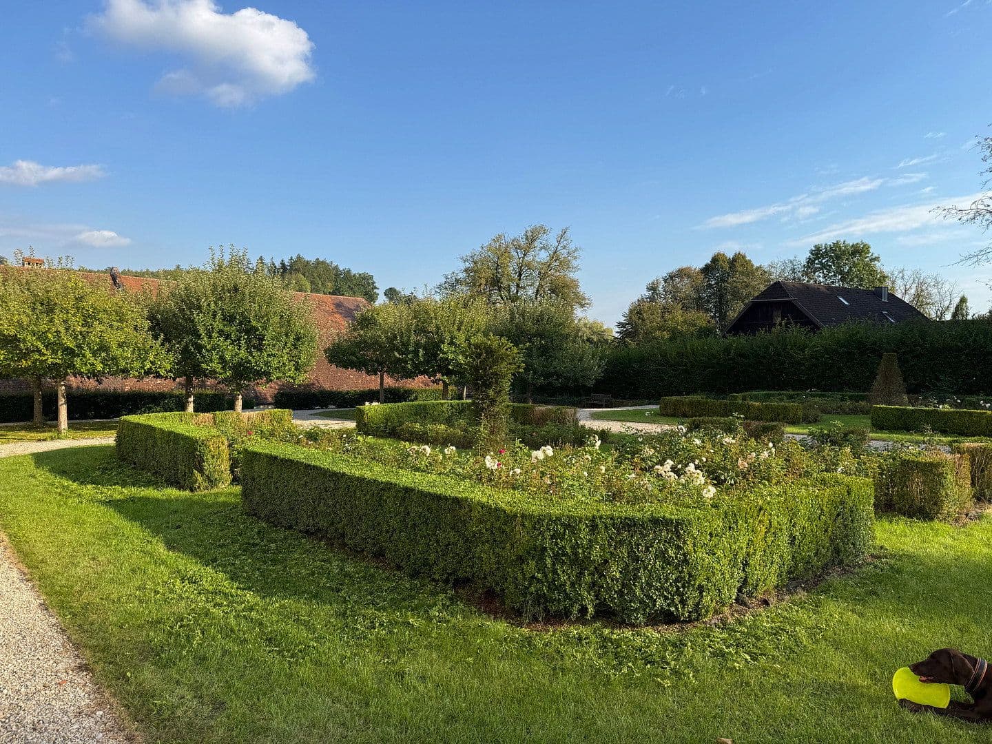 Prenájom bytu 3-izbový 148 m², Grieskirchen, Horné Rakúsko Prenájom bytu 3-izbový 148 m², Grieskirchen, Horné Rakúsko