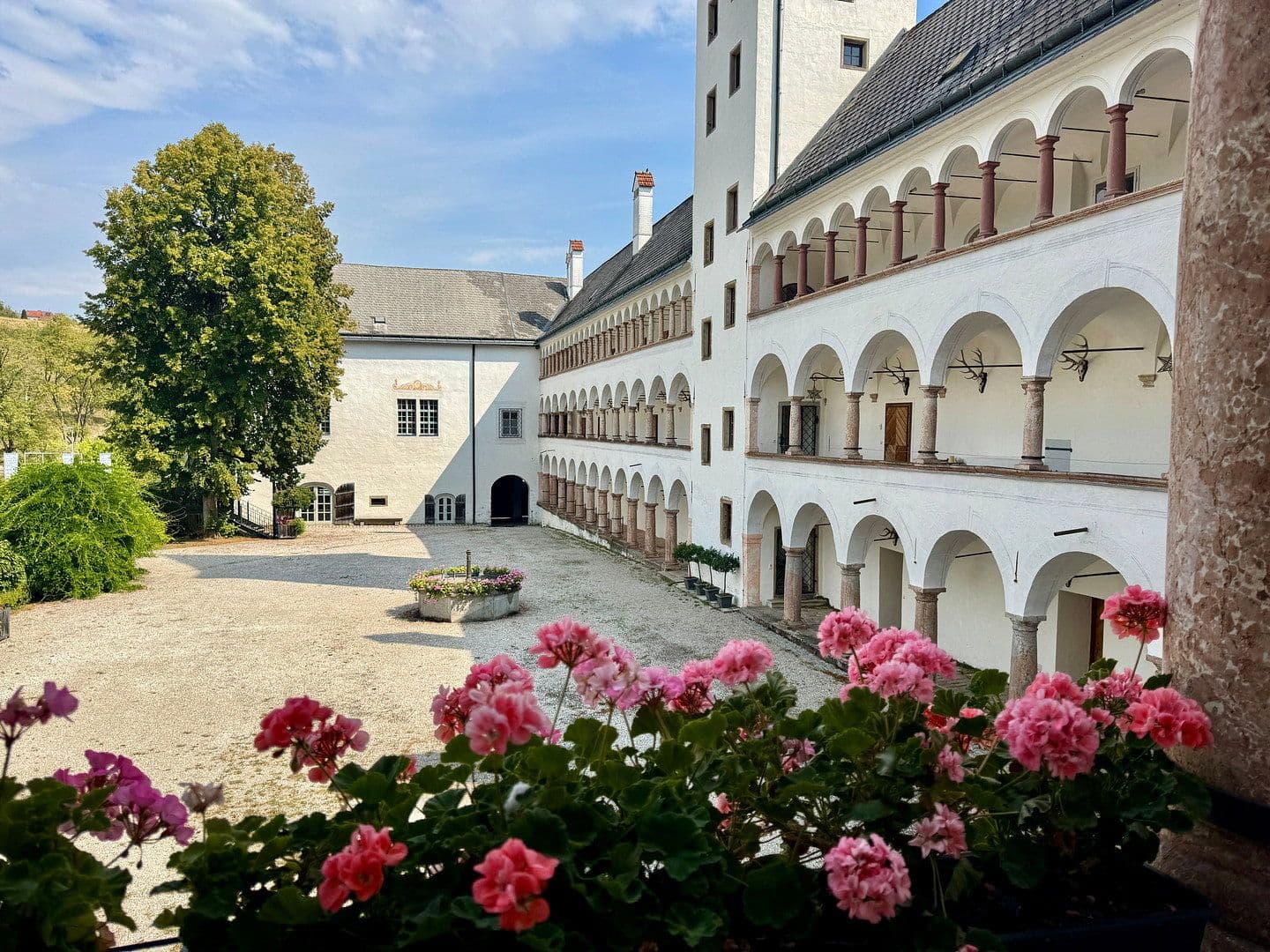 Prenájom bytu 3-izbový 148 m², Grieskirchen, Horné Rakúsko Prenájom bytu 3-izbový 148 m², Grieskirchen, Horné Rakúsko