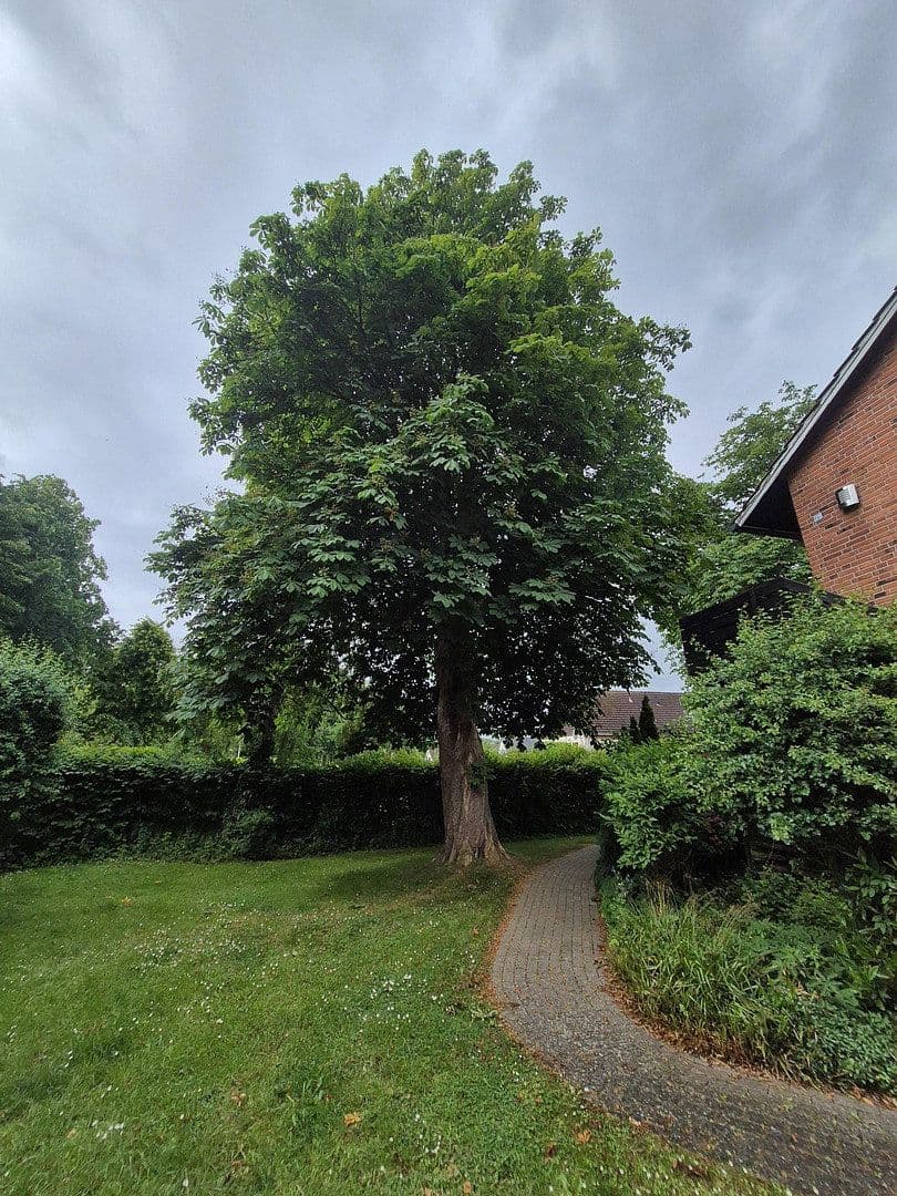 Predaj bytu 2-izbový 30 m², An der Allee, 23747 Dahme, Šlezvicko-Holštajnsko Predaj bytu 2-izbový 30 m², An der Allee, 23747 Dahme, Šlezvicko-Holštajnsko
