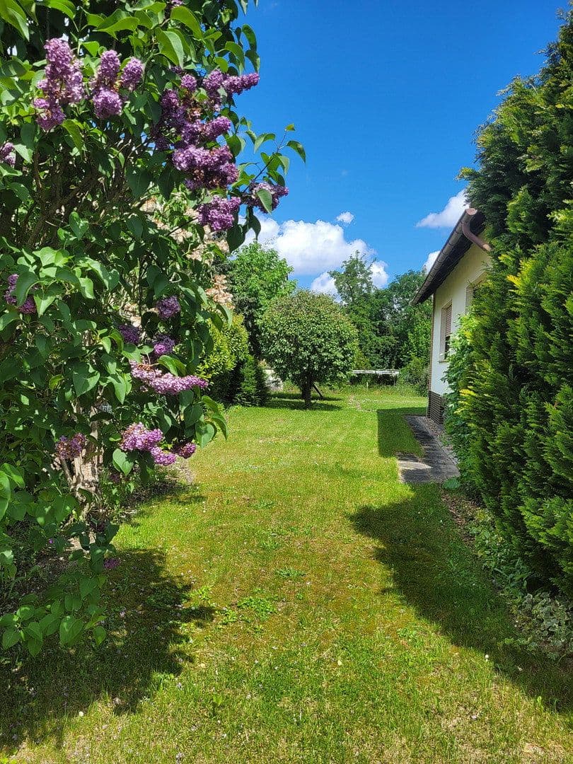 Predaj domu 136 m², pozemok 730 m², Schwülper, Dolné Sasko Predaj domu 136 m², pozemok 730 m², Schwülper, Dolné Sasko