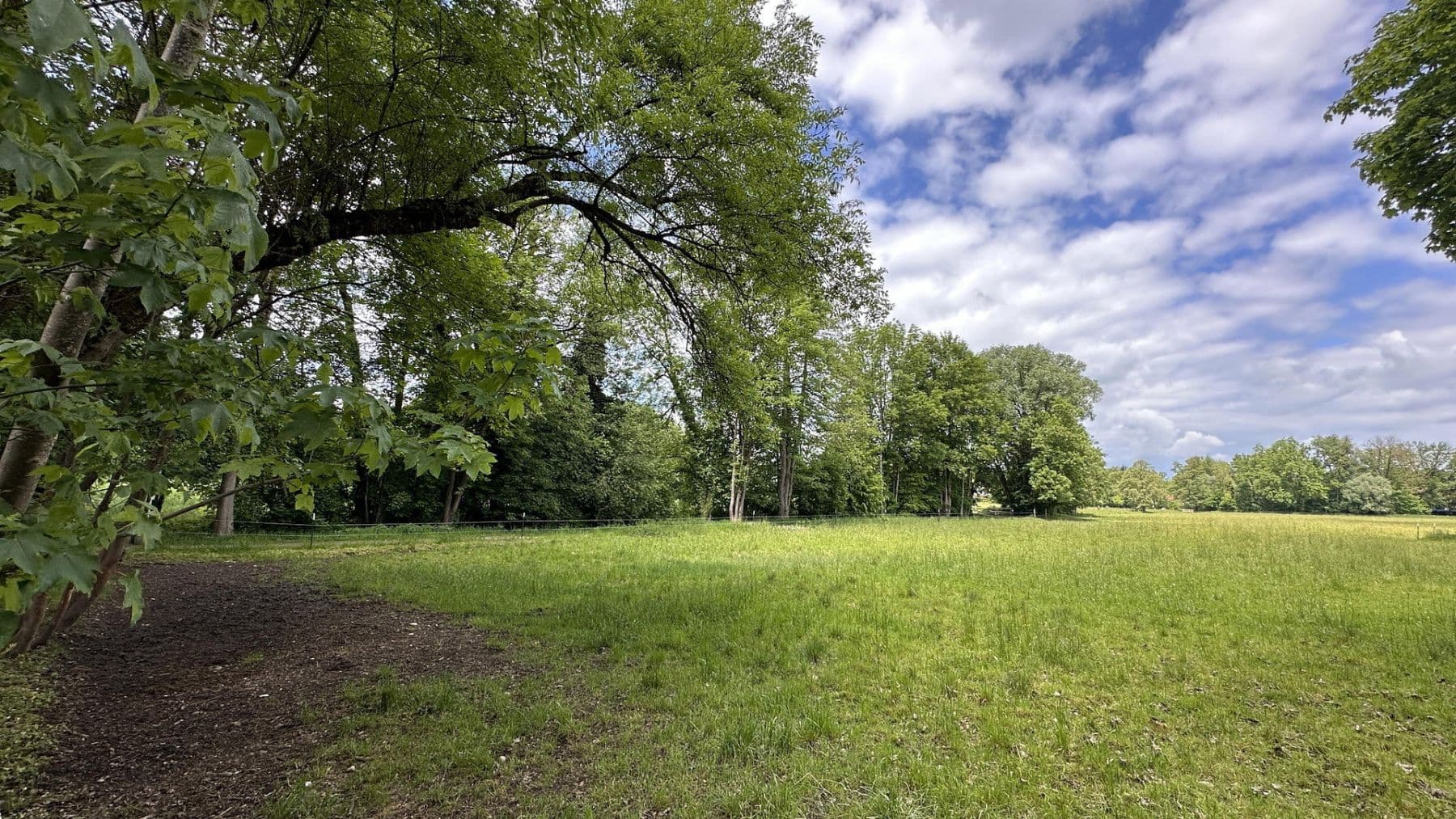 Predaj bytu 3-izbový 68 m², Sigererstr. 21, München, Bavorsko Predaj bytu 3-izbový 68 m², Sigererstr. 21, München, Bavorsko