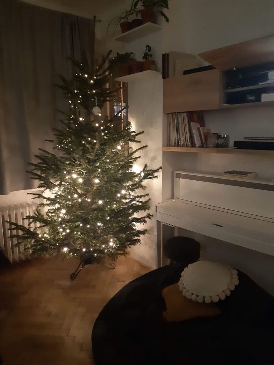 Prenájom bytu 3-izbový 52 m², Veletržní, Praha, Praha Prenájom bytu 3-izbový 52 m², Veletržní, Praha, Praha
