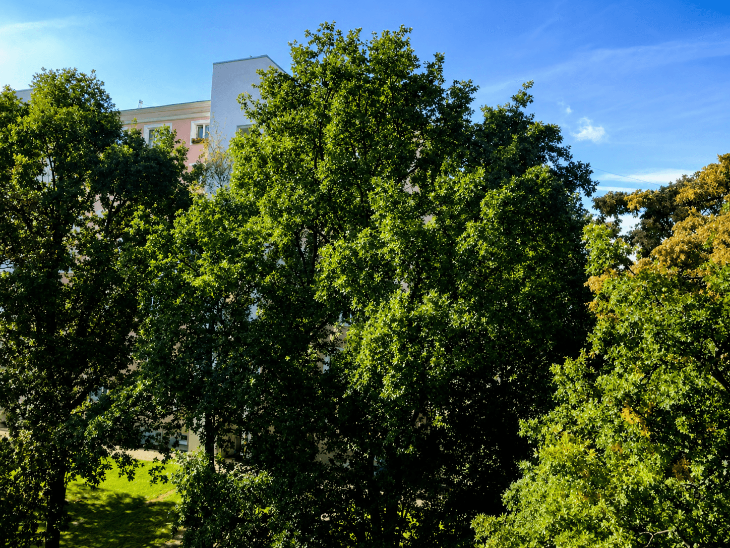 Prenájom bytu 2-izbový 52 m², Na Okraji, Praha, Praha Prenájom bytu 2-izbový 52 m², Na Okraji, Praha, Praha