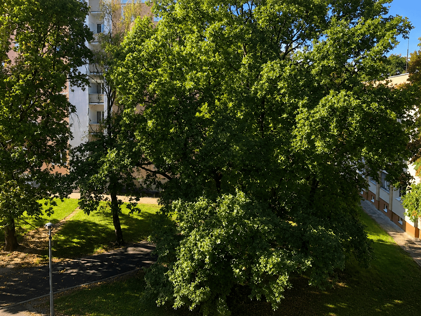 Prenájom bytu 2-izbový 52 m², Na Okraji, Praha, Praha Prenájom bytu 2-izbový 52 m², Na Okraji, Praha, Praha