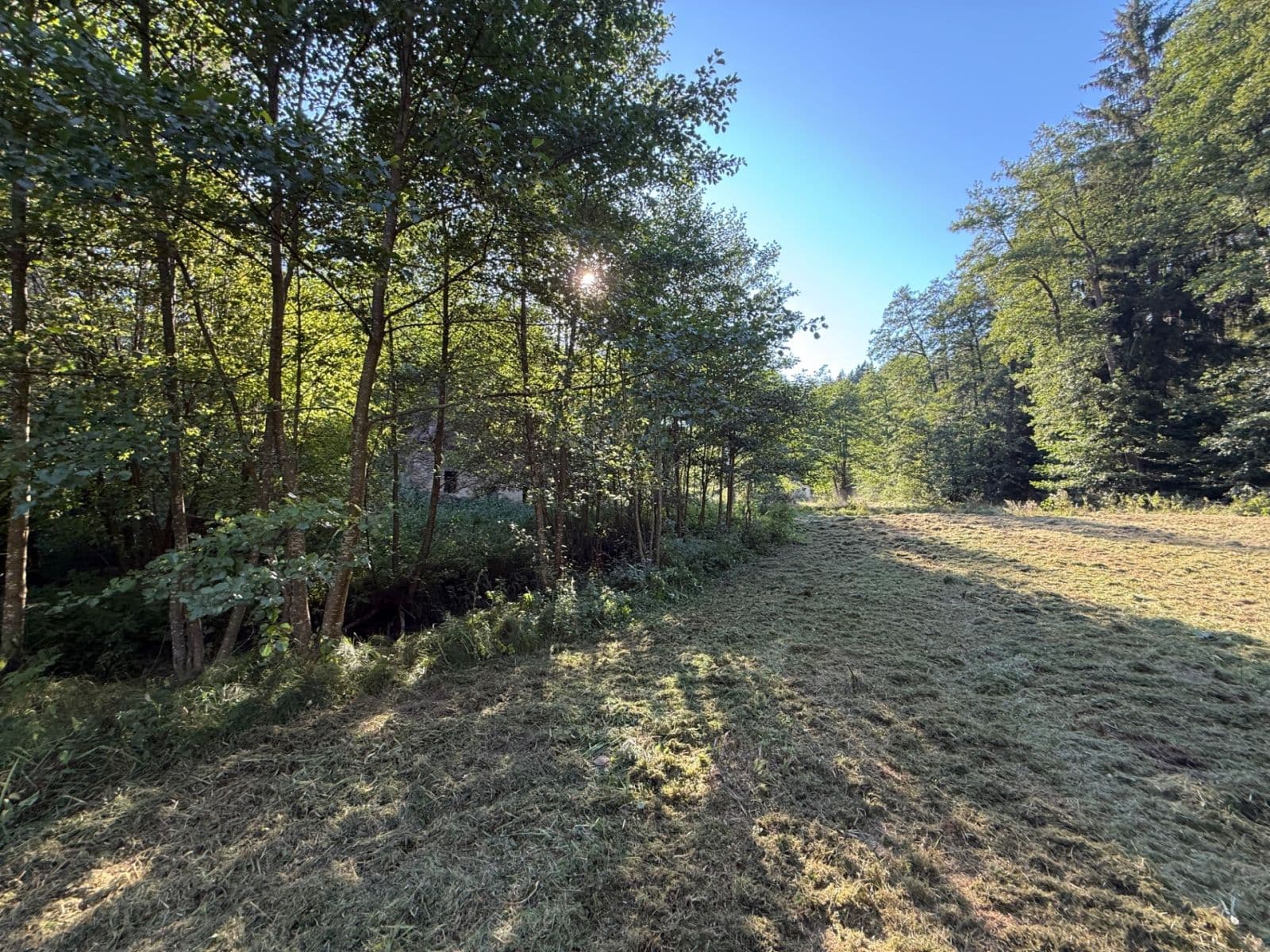 Predaj pozemku 8.551 m², Malšín, Jihočeský kraj Predaj pozemku 8.551 m², Malšín, Jihočeský kraj