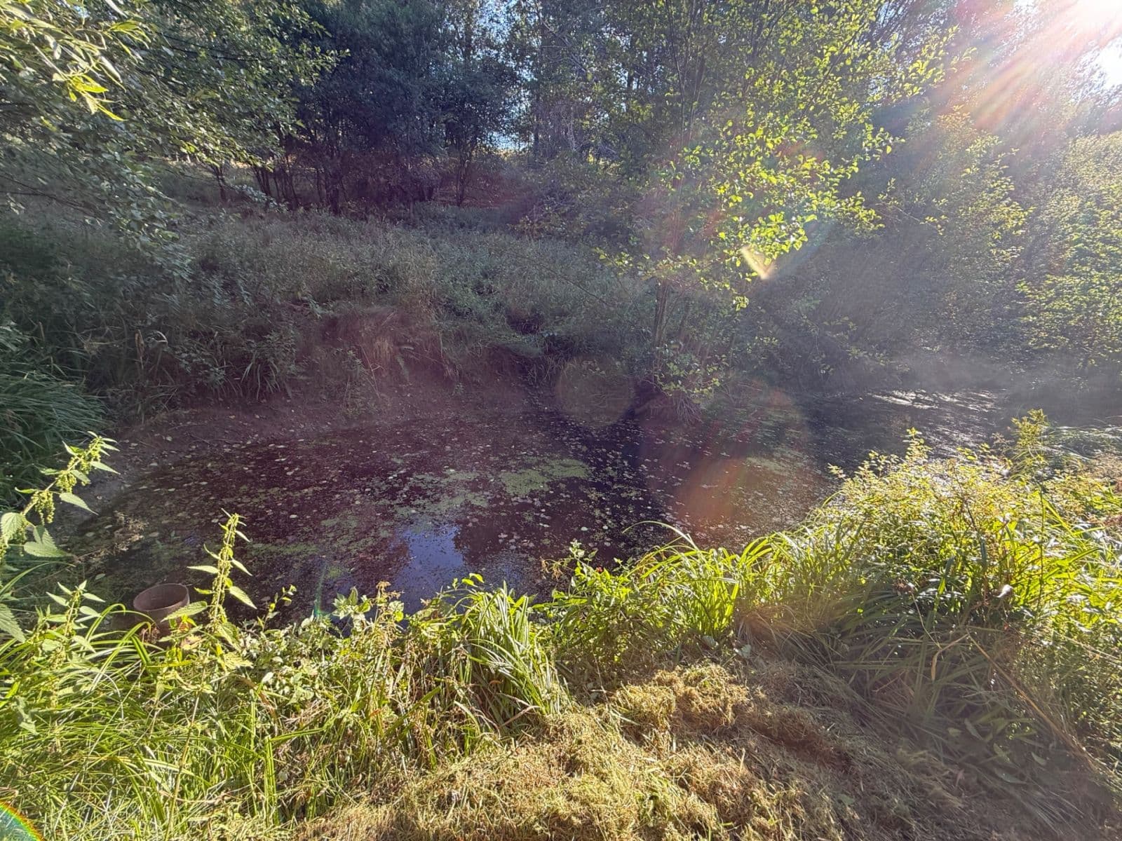 Predaj pozemku 8.551 m², Malšín, Jihočeský kraj Predaj pozemku 8.551 m², Malšín, Jihočeský kraj