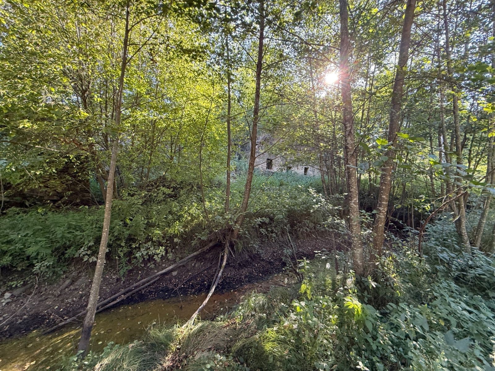 Predaj pozemku 8.551 m², Malšín, Jihočeský kraj Predaj pozemku 8.551 m², Malšín, Jihočeský kraj