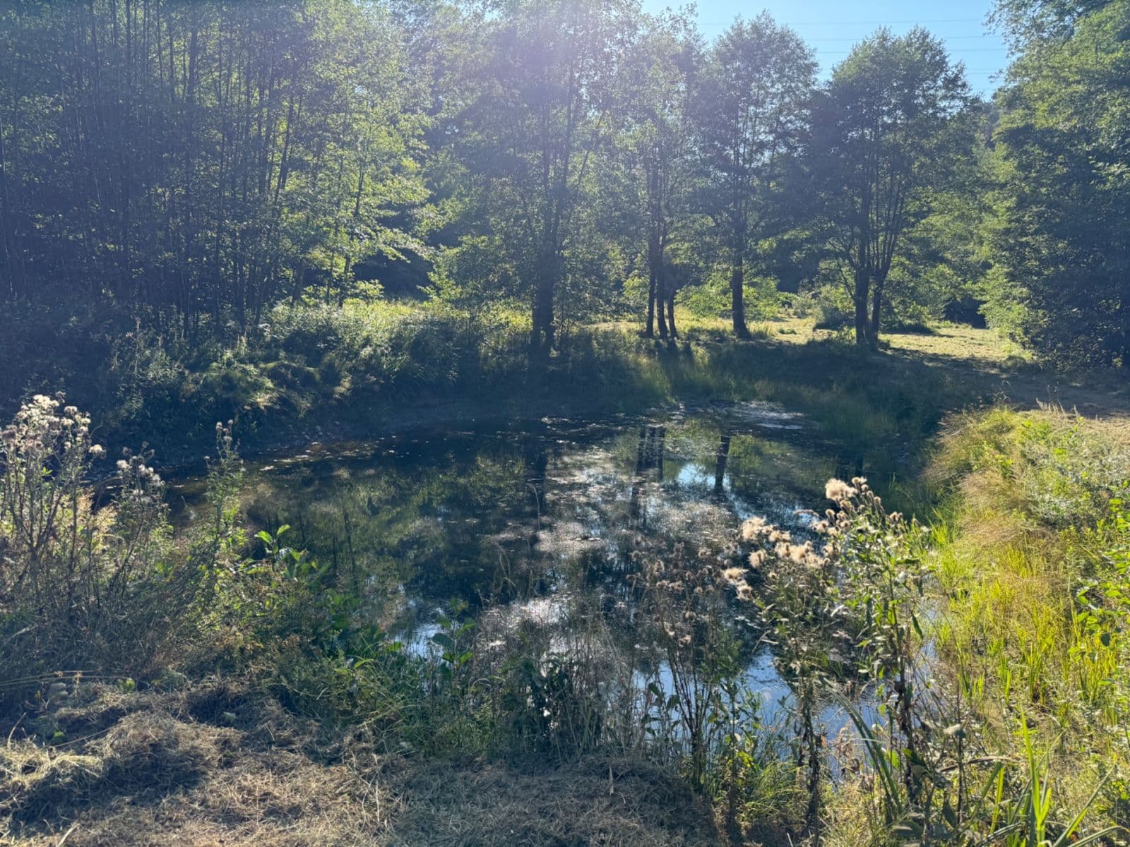 Predaj pozemku 8.551 m², Malšín, Jihočeský kraj Predaj pozemku 8.551 m², Malšín, Jihočeský kraj