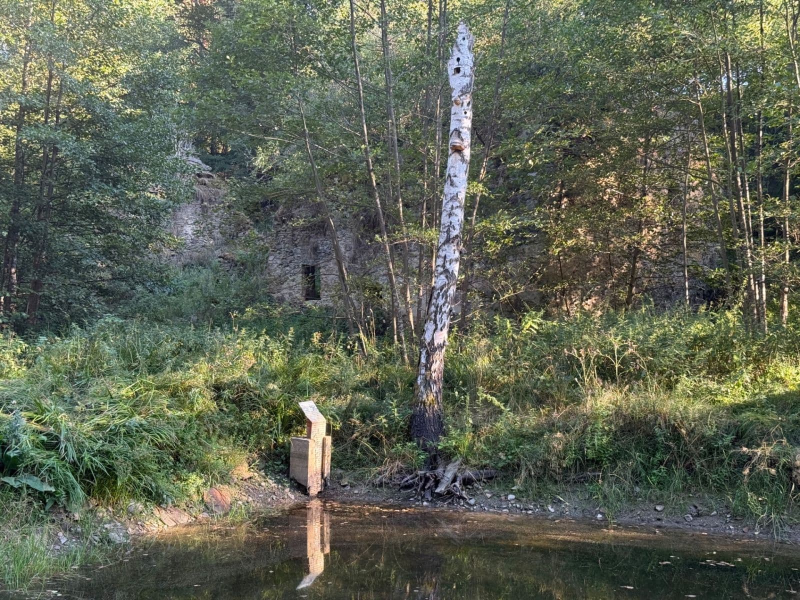 Predaj pozemku 8.551 m², Malšín, Jihočeský kraj Predaj pozemku 8.551 m², Malšín, Jihočeský kraj