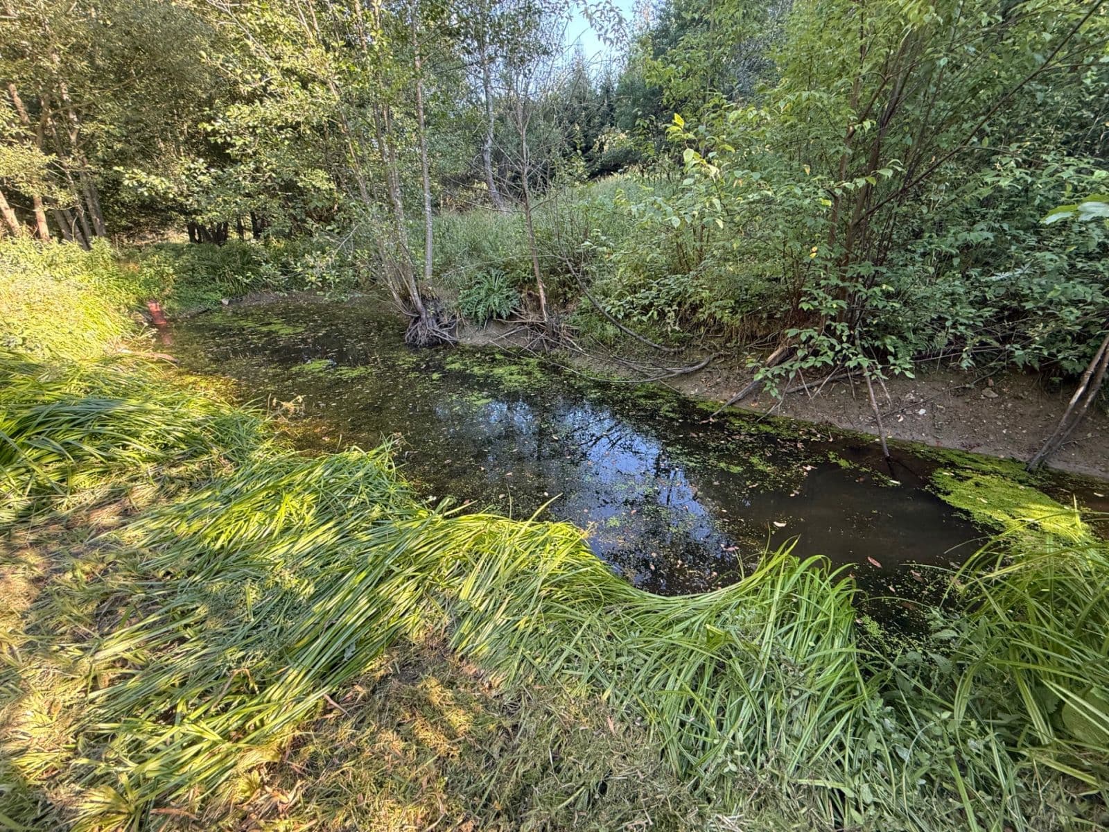 Predaj pozemku 8.551 m², Malšín, Jihočeský kraj Predaj pozemku 8.551 m², Malšín, Jihočeský kraj