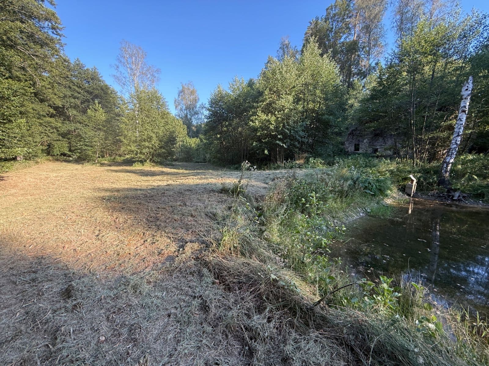 Predaj pozemku 8.551 m², Malšín, Jihočeský kraj Predaj pozemku 8.551 m², Malšín, Jihočeský kraj