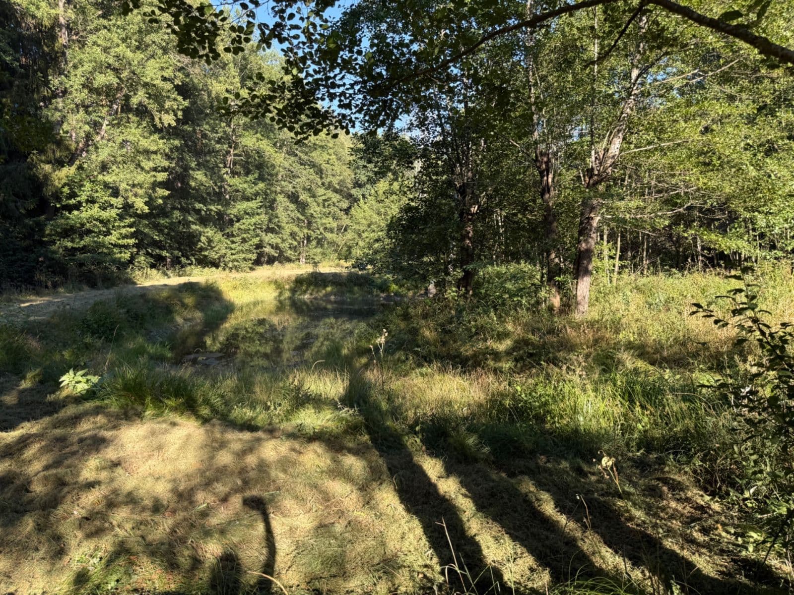 Predaj pozemku 8.551 m², Malšín, Jihočeský kraj Predaj pozemku 8.551 m², Malšín, Jihočeský kraj