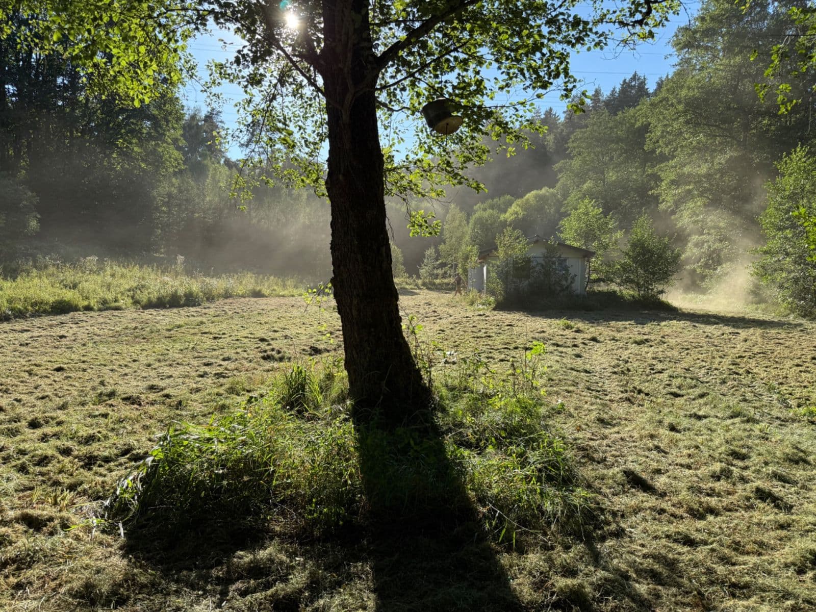 Predaj pozemku 8.551 m², Malšín, Jihočeský kraj Predaj pozemku 8.551 m², Malšín, Jihočeský kraj