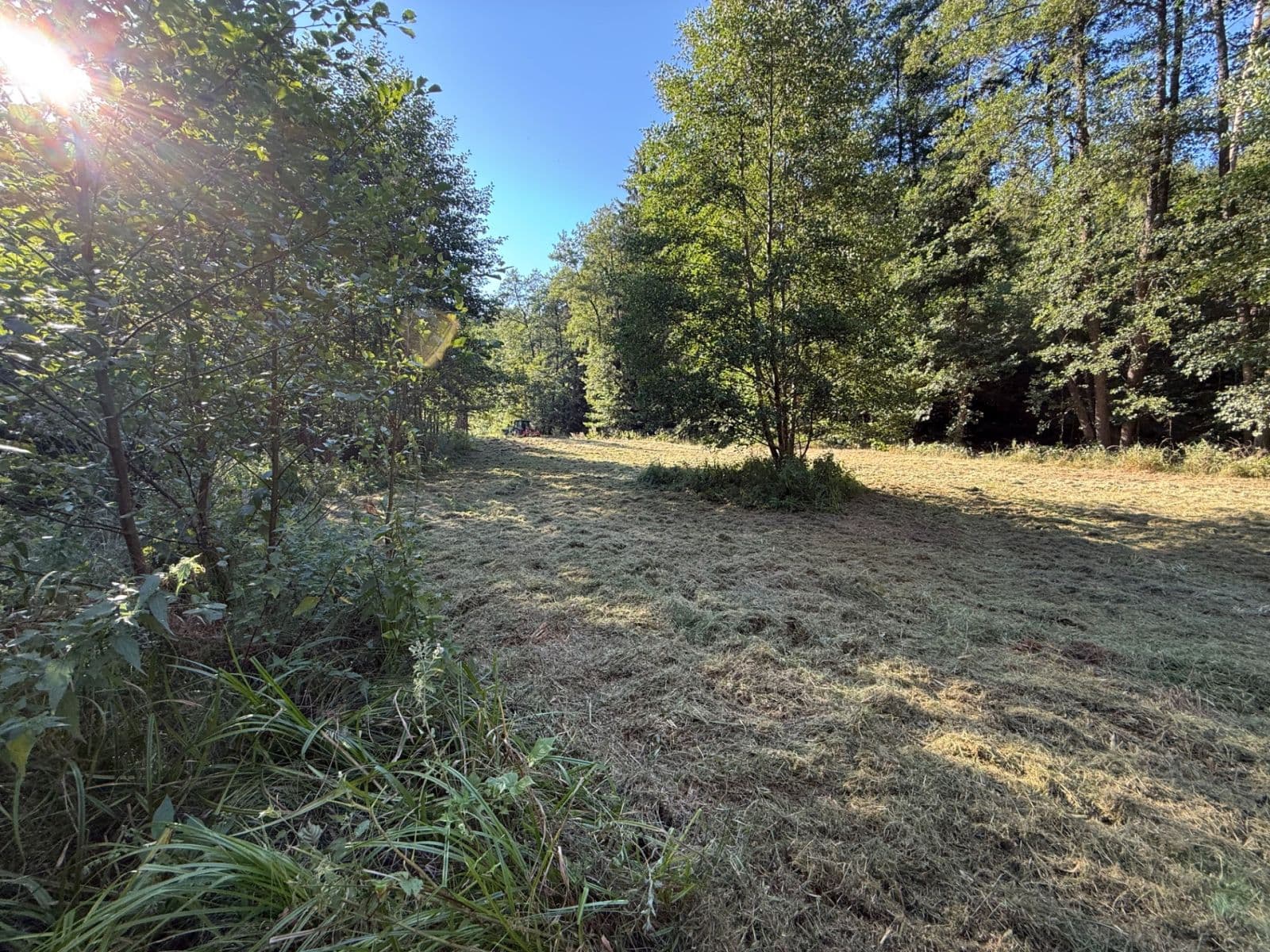 Predaj pozemku 8.551 m², Malšín, Jihočeský kraj Predaj pozemku 8.551 m², Malšín, Jihočeský kraj
