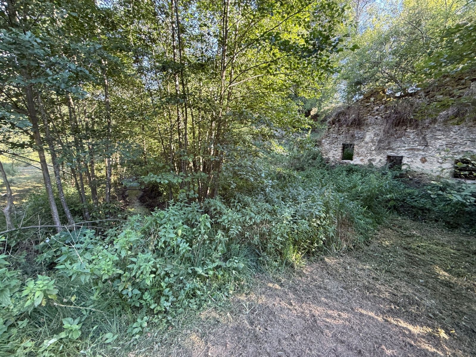 Predaj pozemku 8.551 m², Malšín, Jihočeský kraj Predaj pozemku 8.551 m², Malšín, Jihočeský kraj