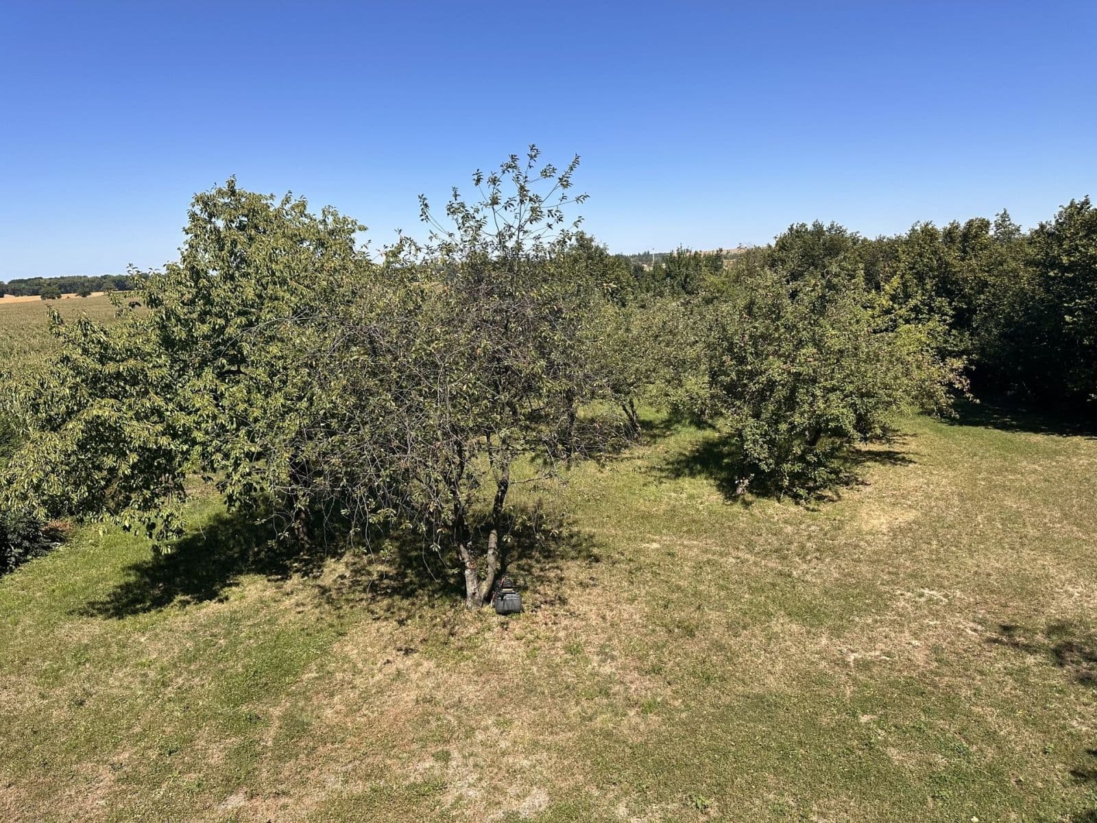 Predaj domu 180 m², pozemok 1.799 m², Staňkovice, Středočeský kraj Predaj domu 180 m², pozemok 1.799 m², Staňkovice, Středočeský kraj
