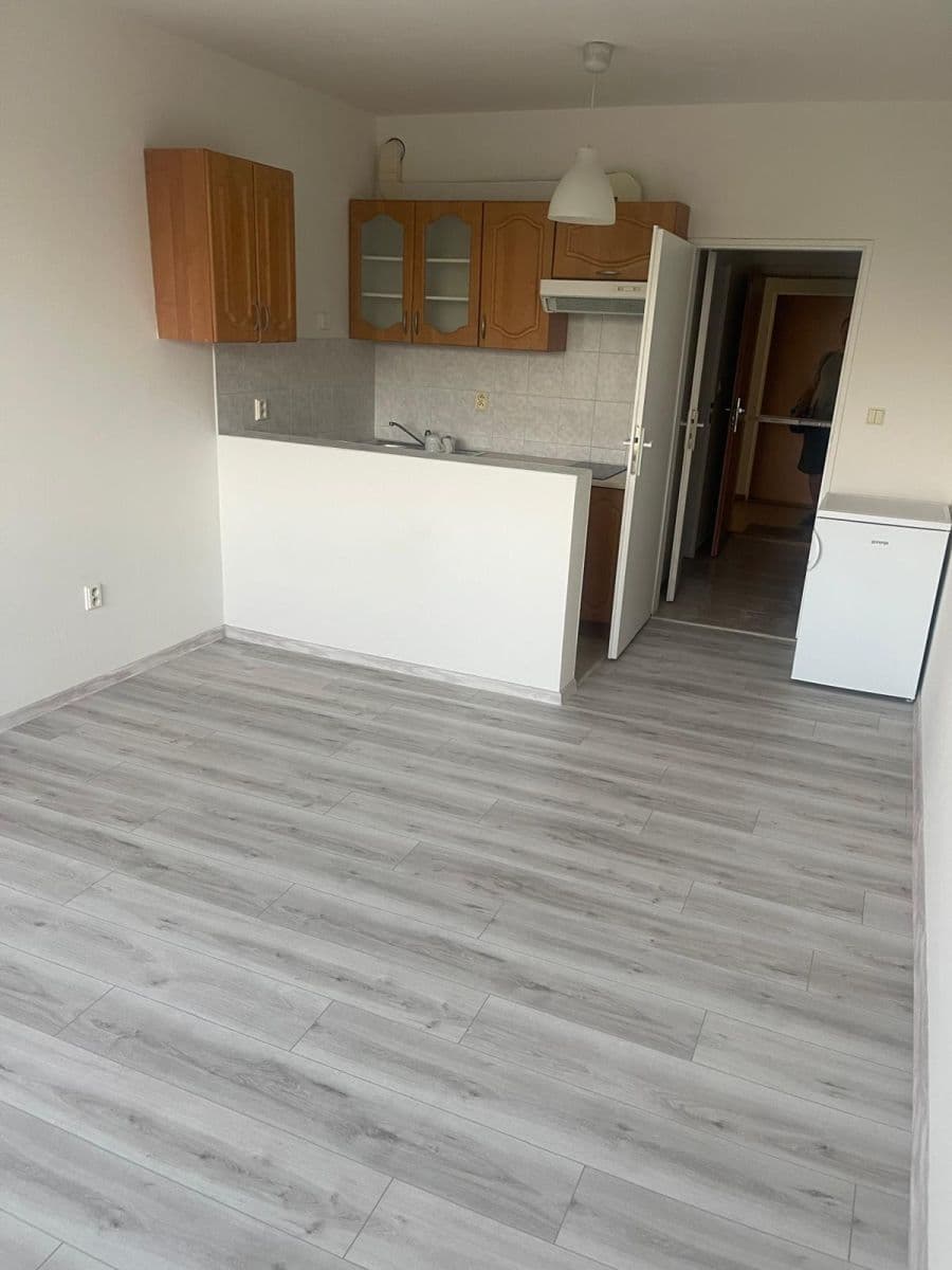 Prenájom bytu 1-izbový 26 m², Štúrova, Praha, Praha Prenájom bytu 1-izbový 26 m², Štúrova, Praha, Praha