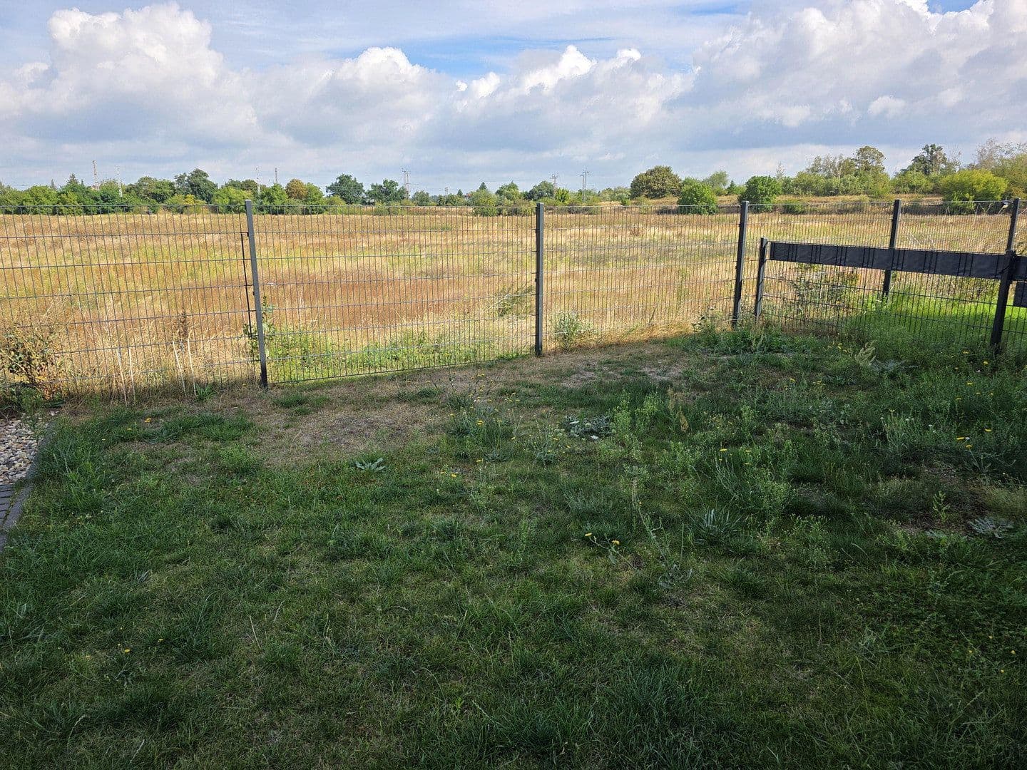 Prenájom domu 125 m², pozemok 337 m², Rehberge 27, Biederitz, Sasko-Anhaltsko Prenájom domu 125 m², pozemok 337 m², Rehberge 27, Biederitz, Sasko-Anhaltsko