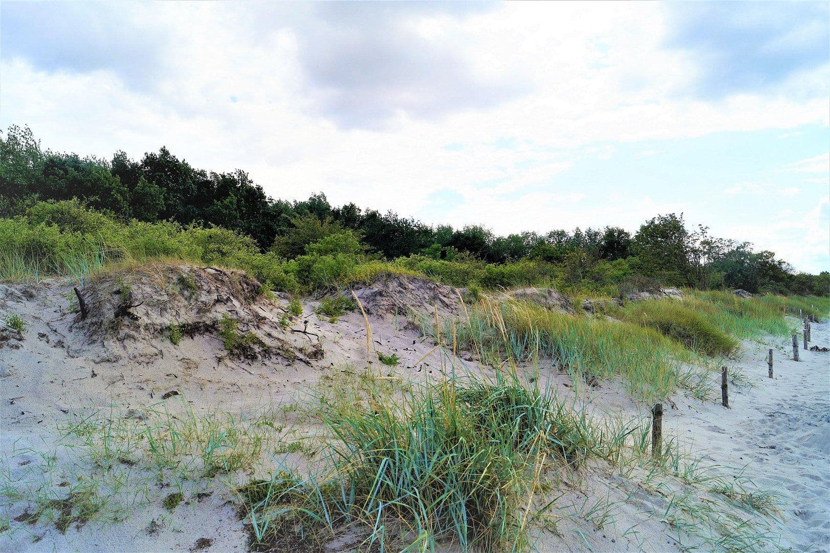 Predaj domu 140 m², pozemok 879 m², Strandkoppel 25b, Dassow, Meklenbursko-Predpomoransko Predaj domu 140 m², pozemok 879 m², Strandkoppel 25b, Dassow, Meklenbursko-Predpomoransko