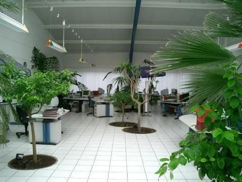 Prenájom nebytového priestoru 720 m², Industriegebiet 14, Gersheim, Sársko Prenájom nebytového priestoru 720 m², Industriegebiet 14, Gersheim, Sársko