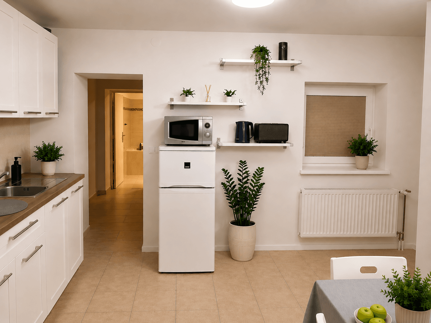 Prenájom bytu 1-izbový 45 m², Karlova, Brno, Jihomoravský kraj Prenájom bytu 1-izbový 45 m², Karlova, Brno, Jihomoravský kraj