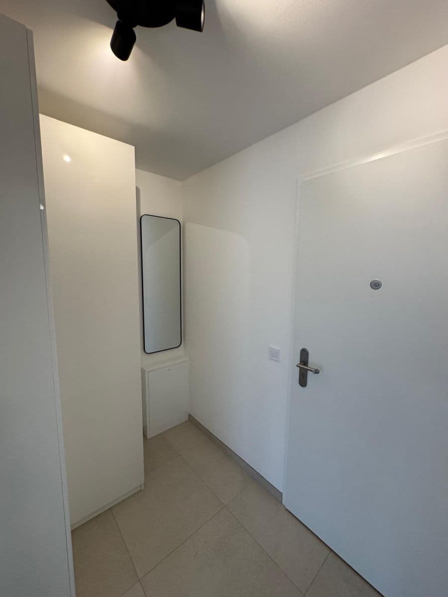 Prenájom bytu 1-izbový 42 m², Budovcova, Praha, Praha Prenájom bytu 1-izbový 42 m², Budovcova, Praha, Praha