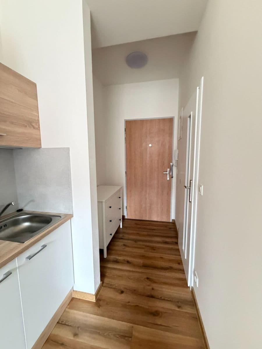 Prenájom bytu 1-izbový 24 m², Písecká, Praha, Praha Prenájom bytu 1-izbový 24 m², Písecká, Praha, Praha