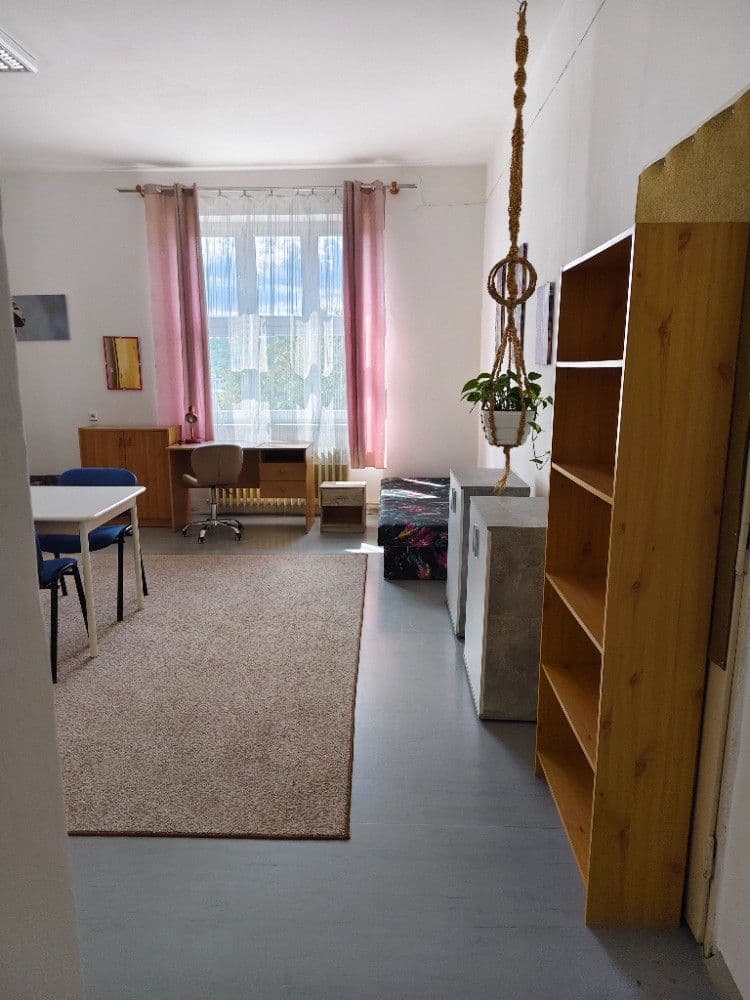 Prenájom bytu 3-izbový 40 m², Kamenomlýnská, Brno, Jihomoravský kraj Prenájom bytu 3-izbový 40 m², Kamenomlýnská, Brno, Jihomoravský kraj
