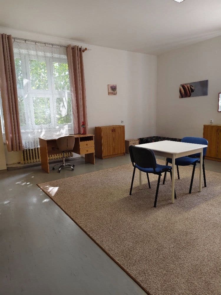 Prenájom bytu 3-izbový 40 m², Kamenomlýnská, Brno, Jihomoravský kraj Prenájom bytu 3-izbový 40 m², Kamenomlýnská, Brno, Jihomoravský kraj