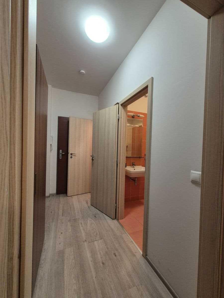 Prenájom bytu 1-izbový 33 m², Freyova, Praha, Praha Prenájom bytu 1-izbový 33 m², Freyova, Praha, Praha