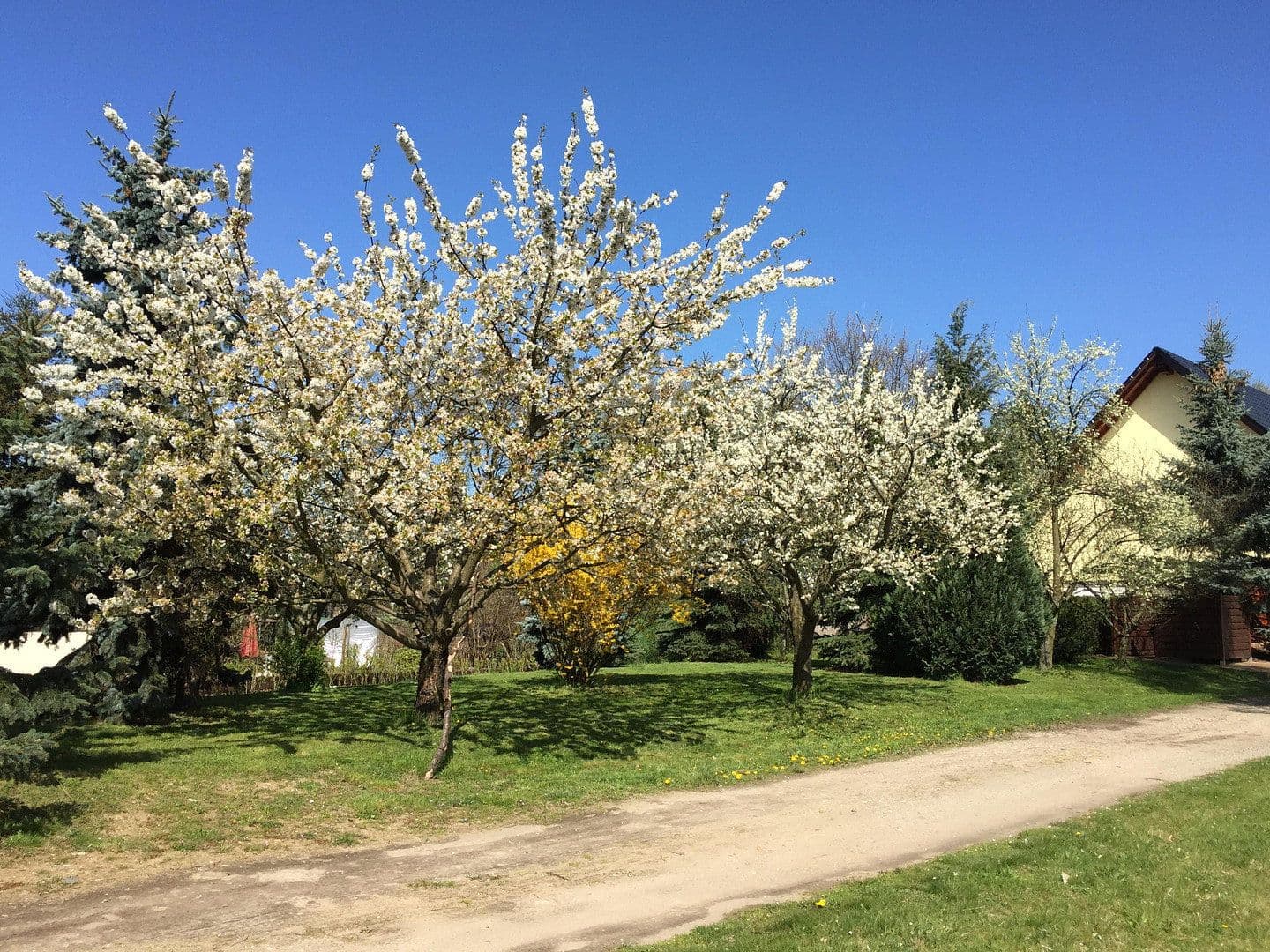 Prenájom bytu 3-izbový 100 m², Lübbenau/Spreewald, Brandenbursko Prenájom bytu 3-izbový 100 m², Lübbenau/Spreewald, Brandenbursko