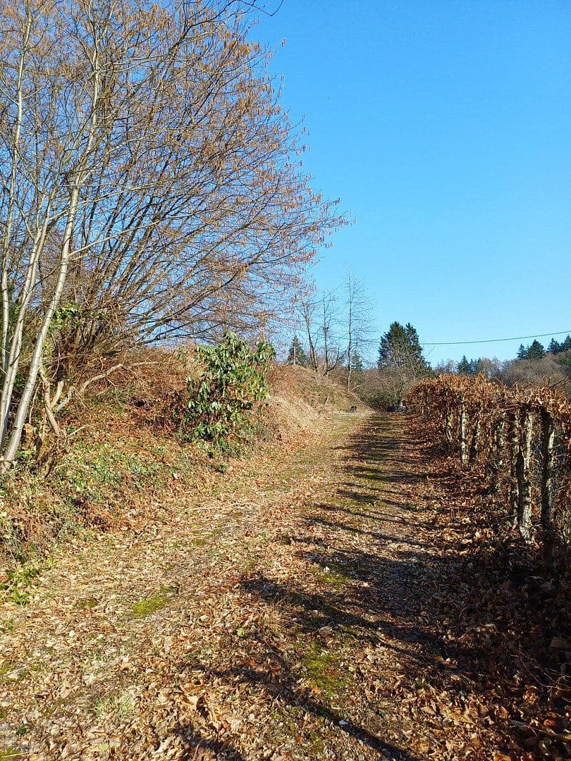 Predaj pozemku 2.000 m², Rainweg 15, Wilhelmsfeld, Bádensko-Wurttembersko Predaj pozemku 2.000 m², Rainweg 15, Wilhelmsfeld, Bádensko-Wurttembersko