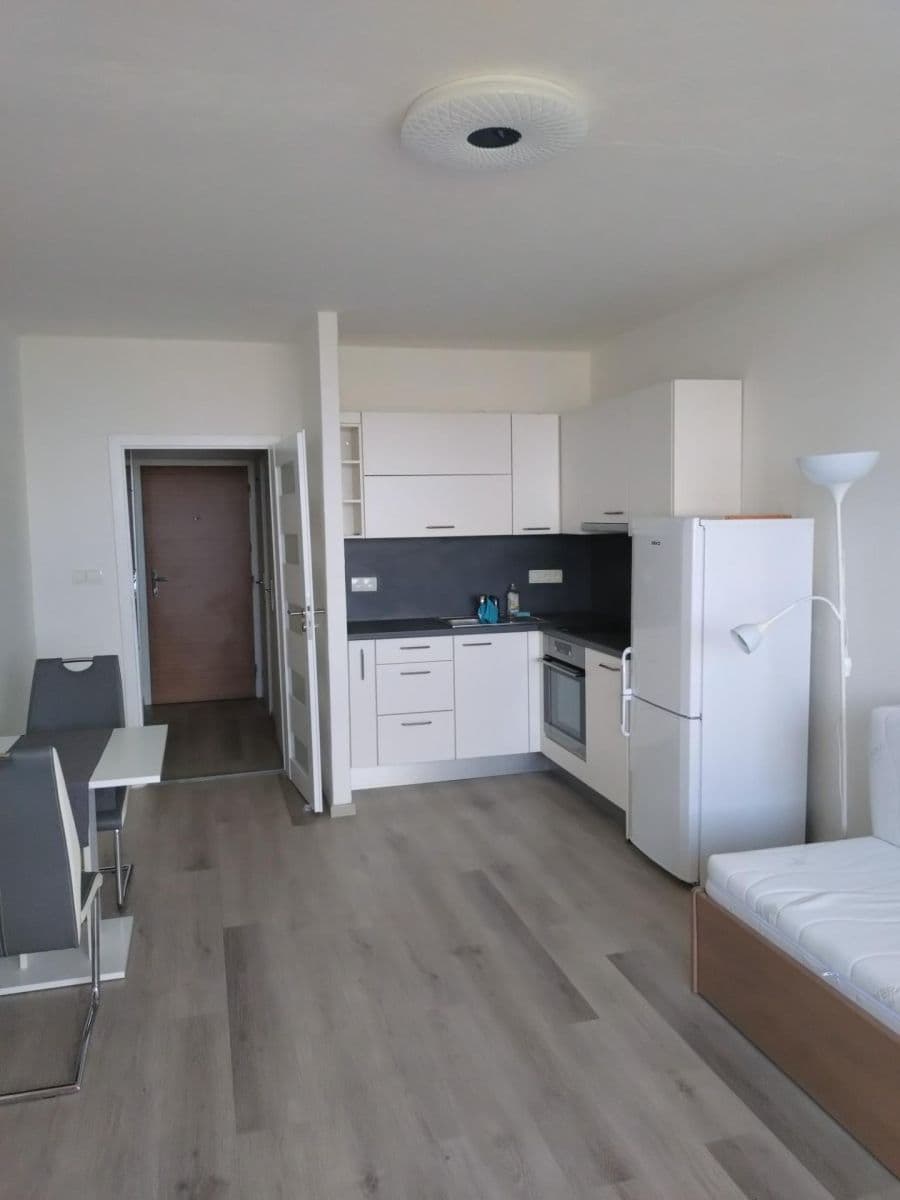 Prenájom bytu 1-izbový 30 m², Černého, Praha, Praha Prenájom bytu 1-izbový 30 m², Černého, Praha, Praha