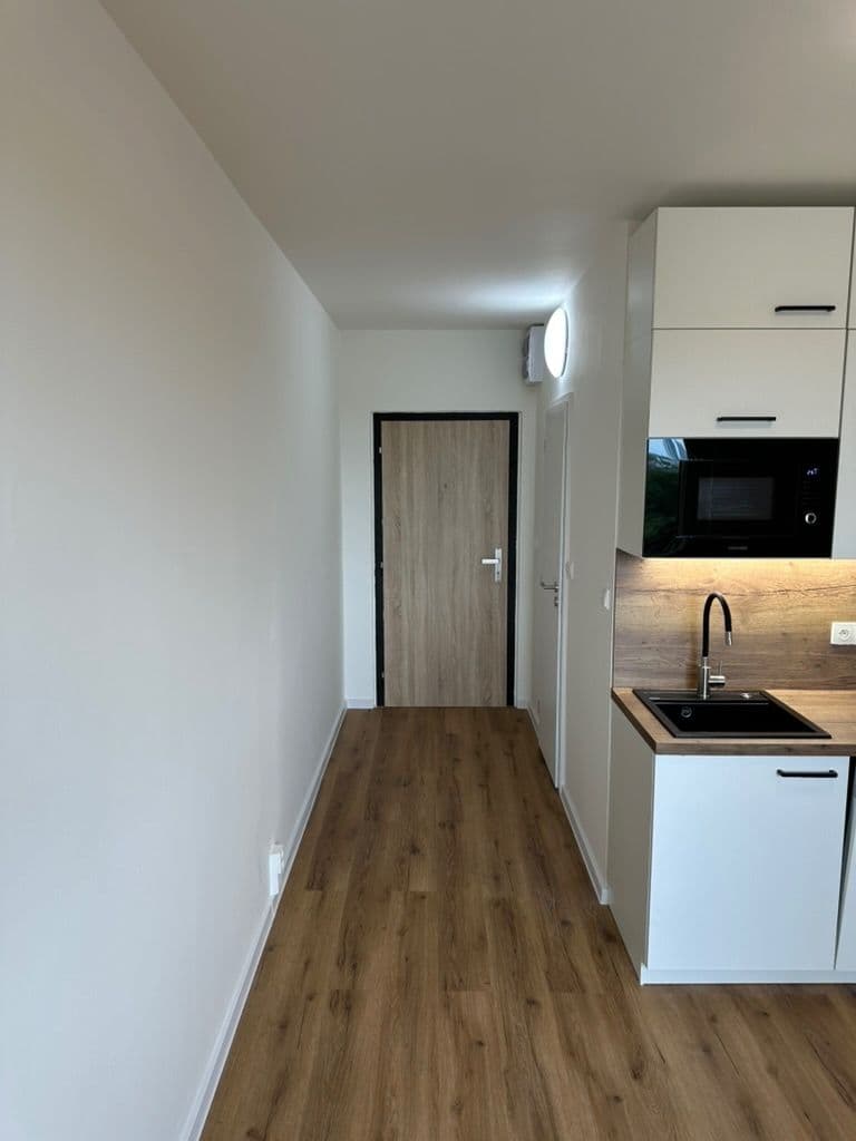 Prenájom bytu 1-izbový 20 m², Štúrova, Praha, Praha Prenájom bytu 1-izbový 20 m², Štúrova, Praha, Praha