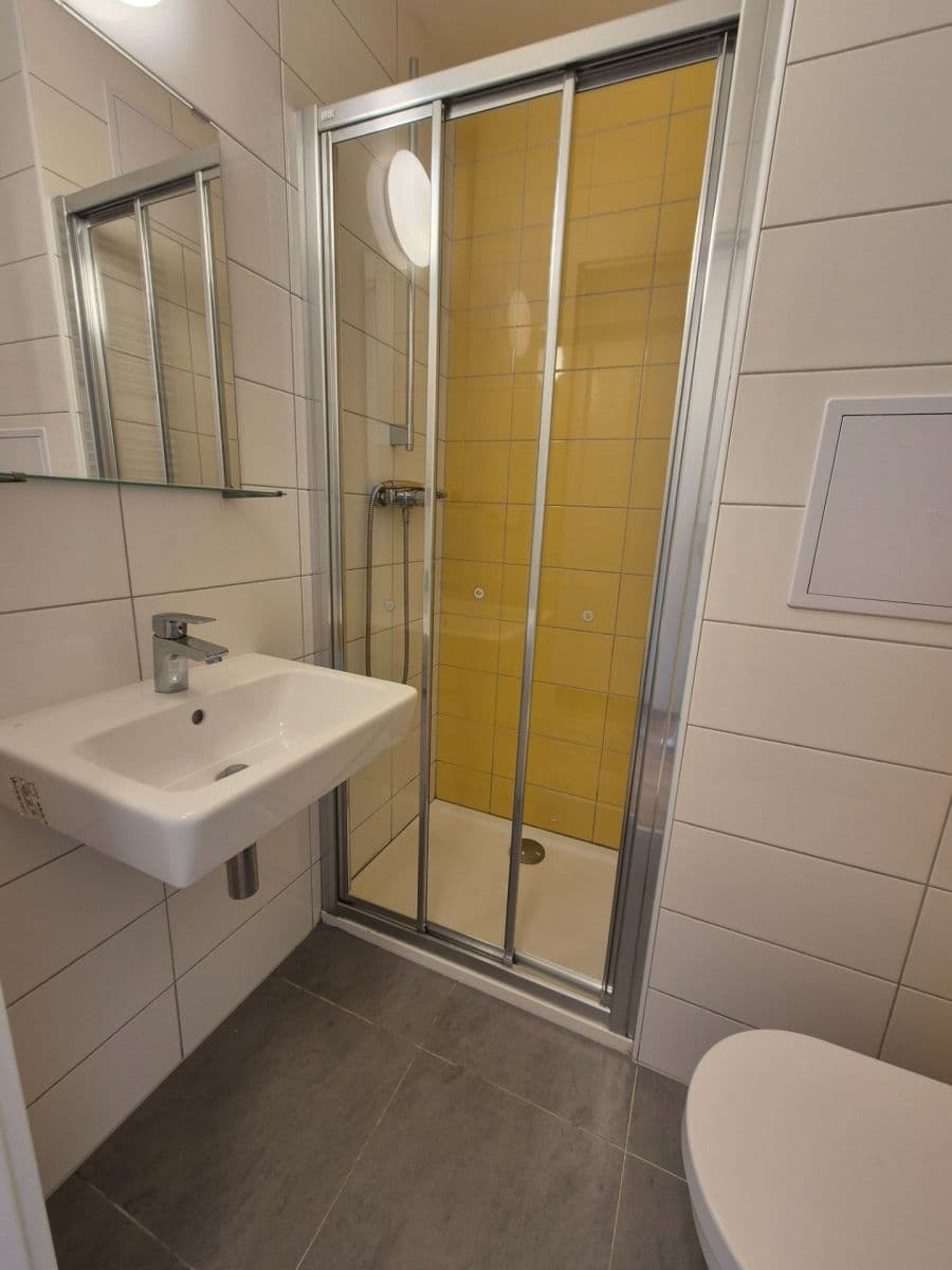 Prenájom bytu 1-izbový 17 m², U Lidového domu, Praha, Praha Prenájom bytu 1-izbový 17 m², U Lidového domu, Praha, Praha